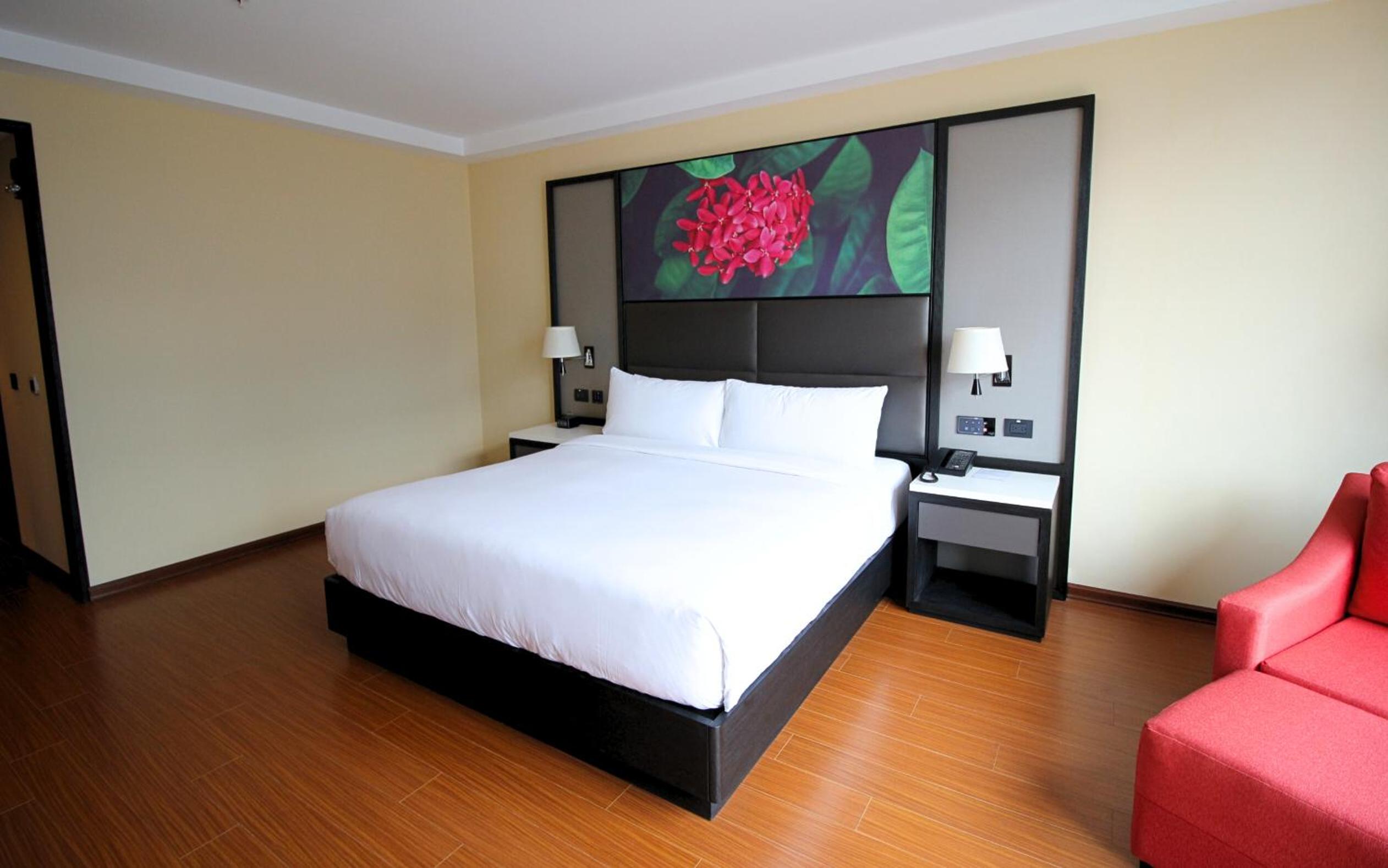King Room with Roll-In Shower - Mobility Access photo 2