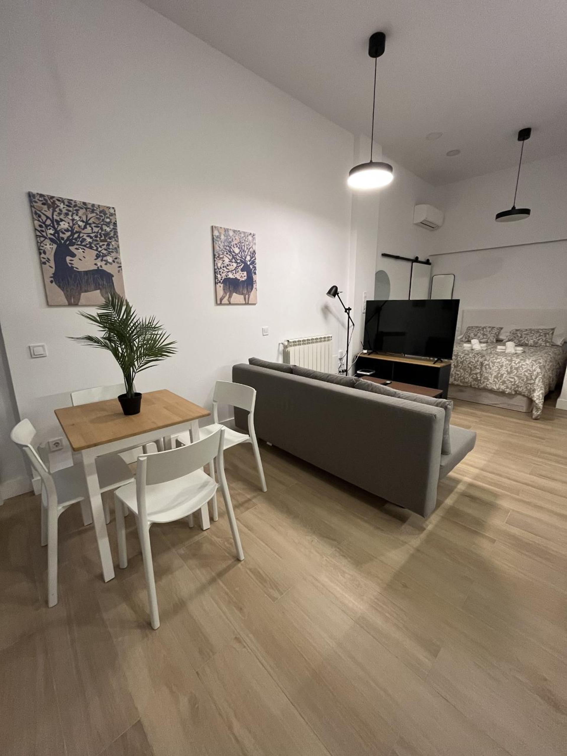 Apartamento de una habitación
