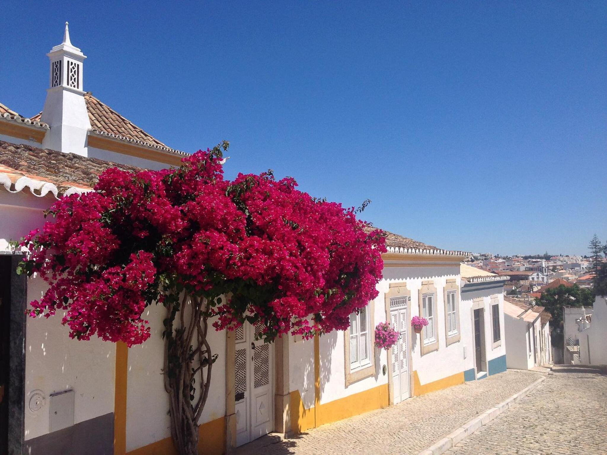 Two-Bedroom Apartment photo 2