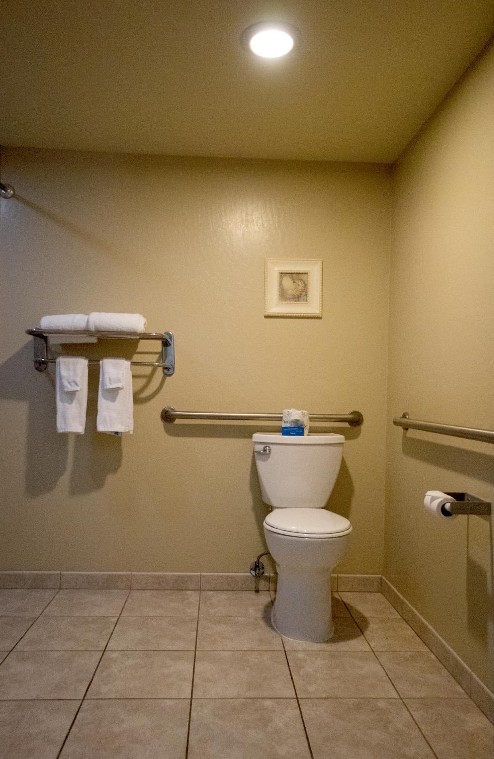 Queen Room with Roll-In Shower - Mobility Accessible/Non-Smoking photo 2