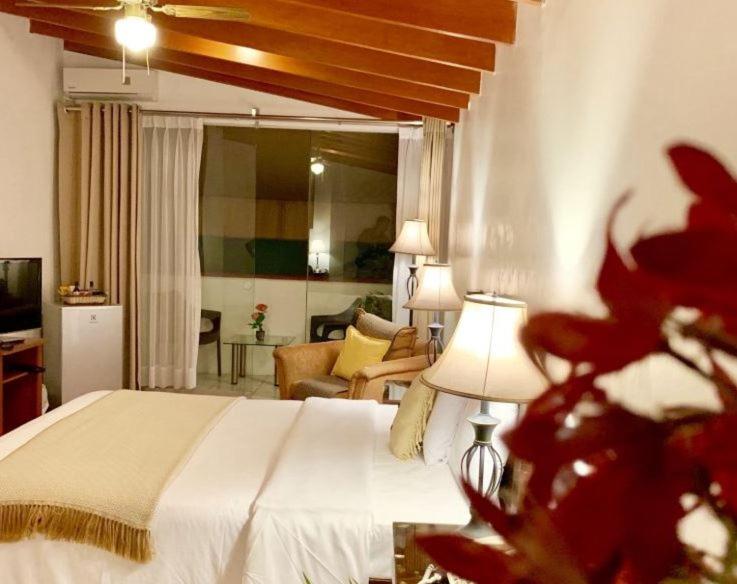 Junior Suite with Garden View - Photo 24
