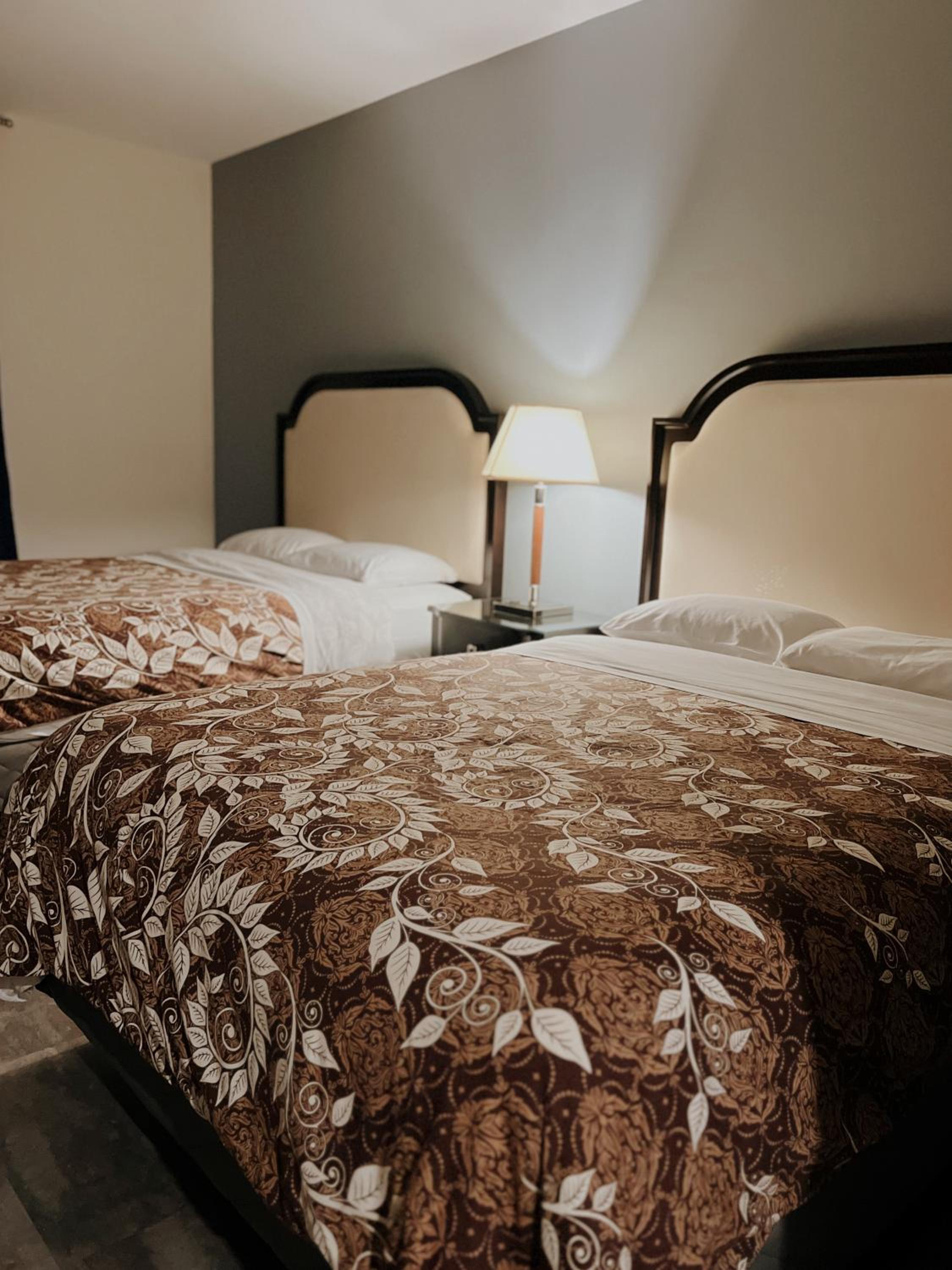 Queen Room - Disability Access photo 1