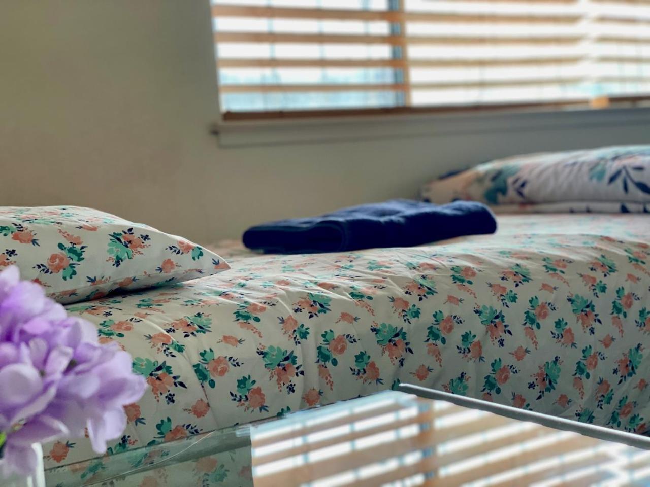 Single Bed in Mixed Dormitory Room photo 2
