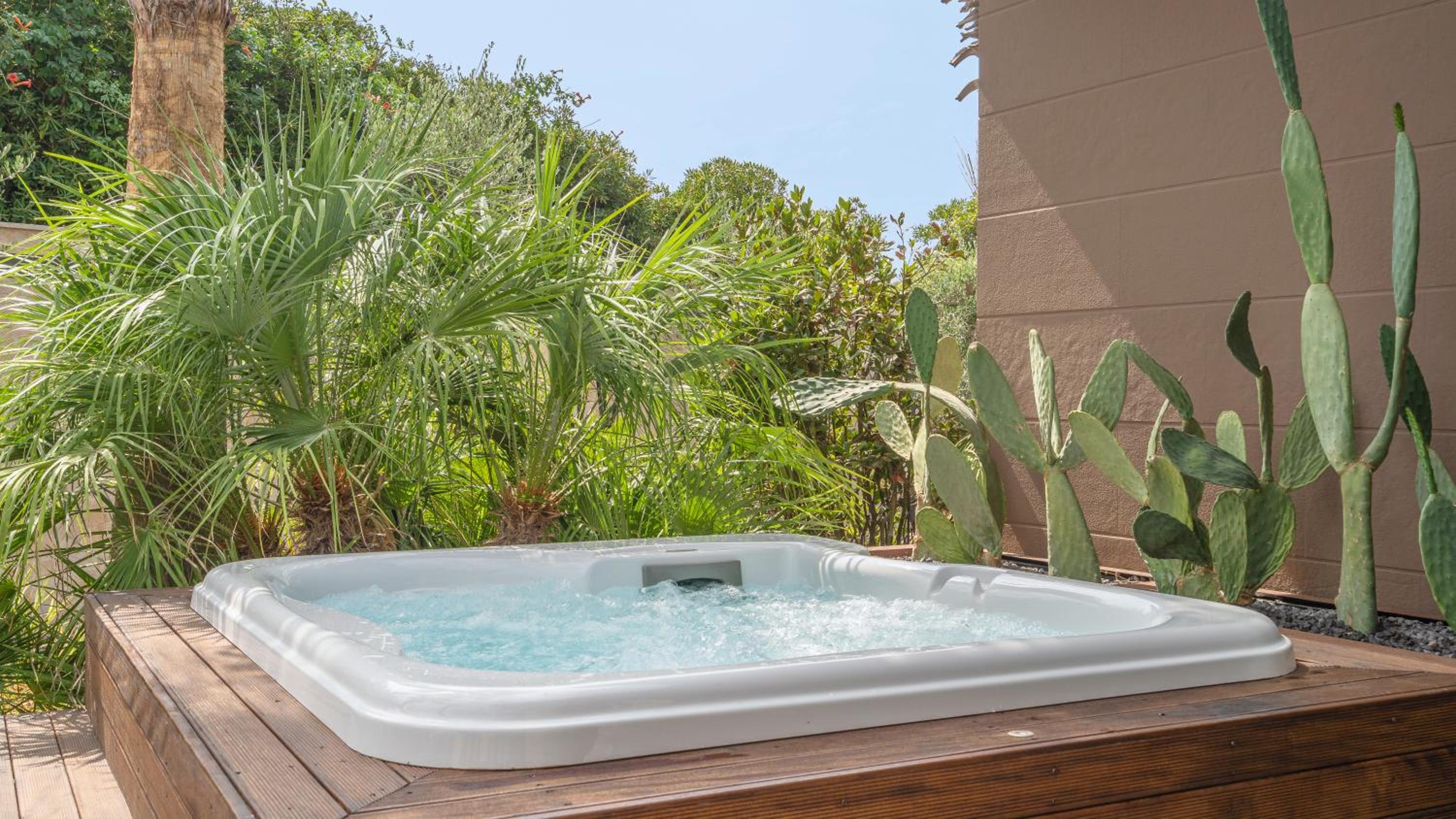 Suite with Hot Tub - Photo 4
