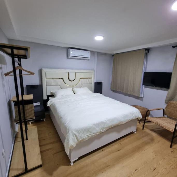 One-Bedroom Apartment photo 3