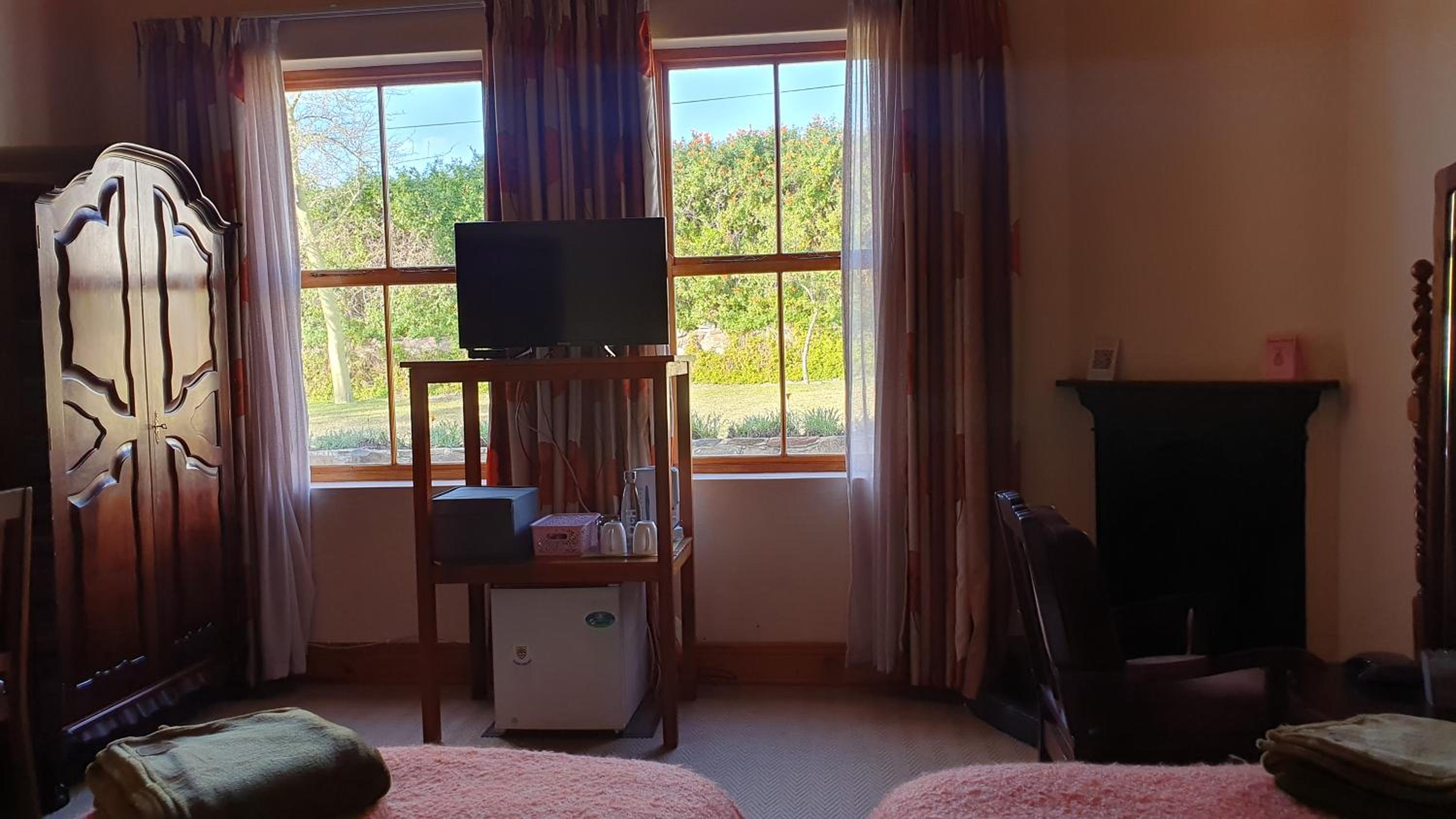 Twin Room photo 3
