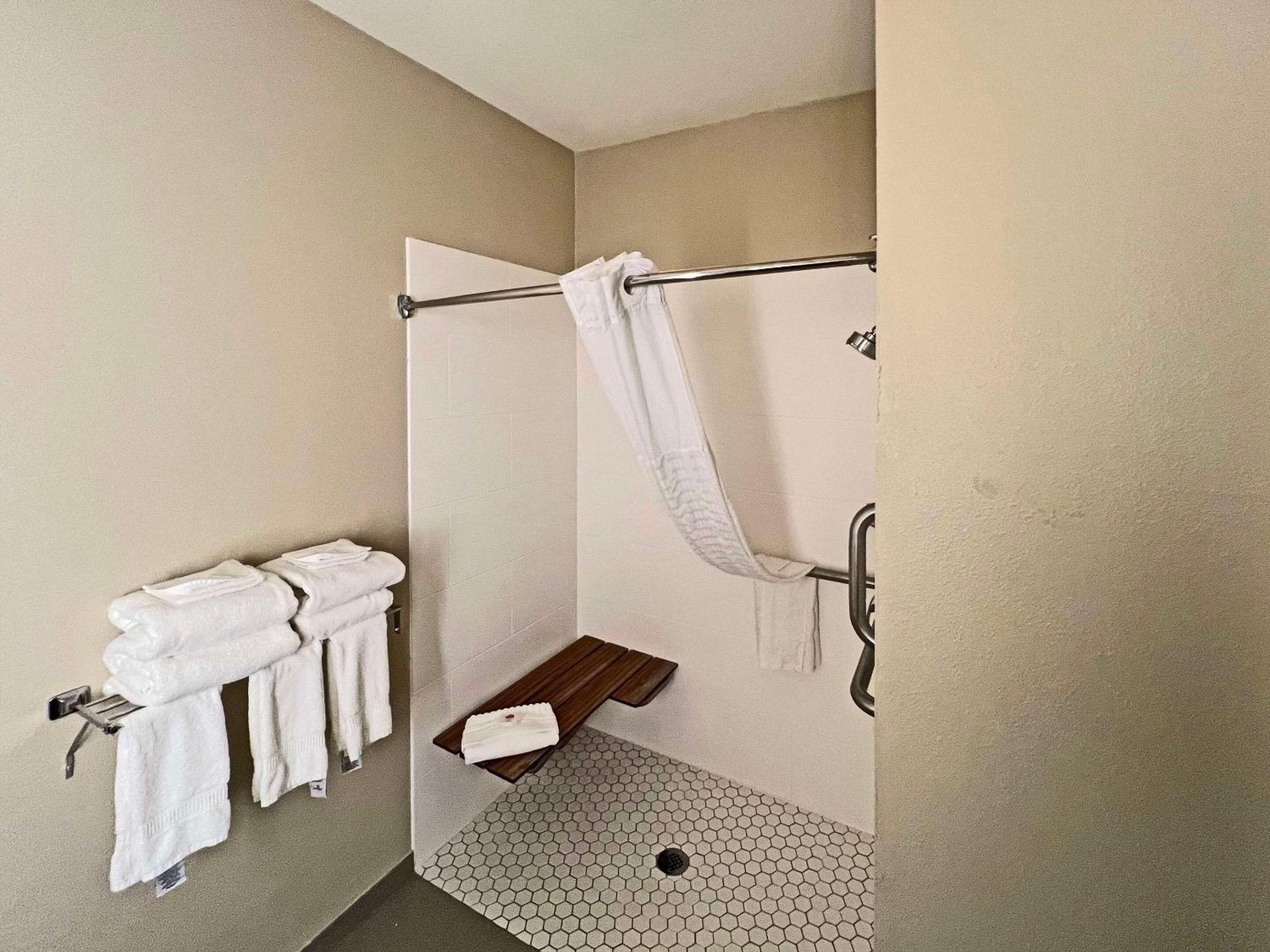 King Suite with Roll-In Shower and Sofa Bed - Accessible/Non-Smoking - Photo 7
