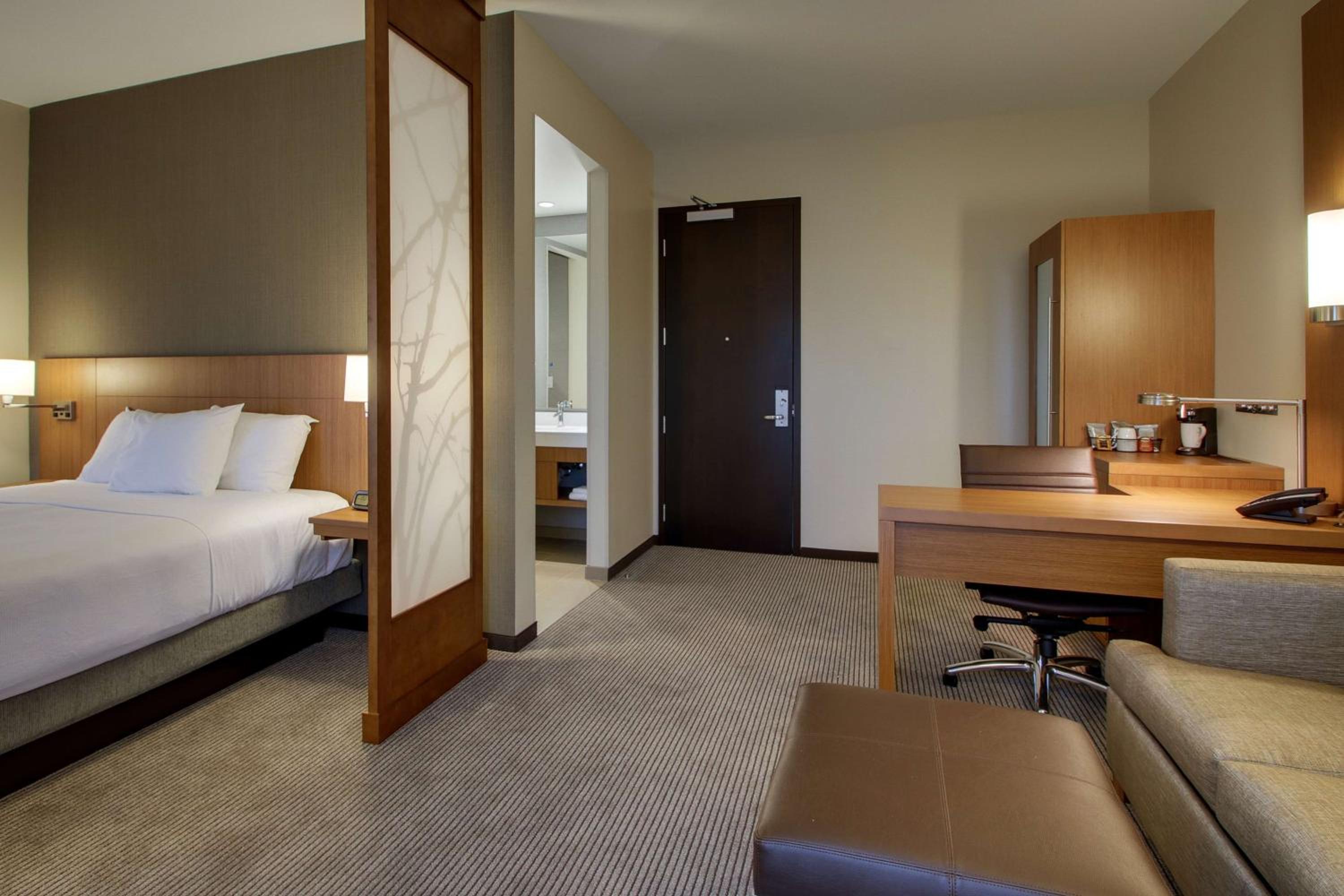 Specialty King Room with Sofa Bed and City View