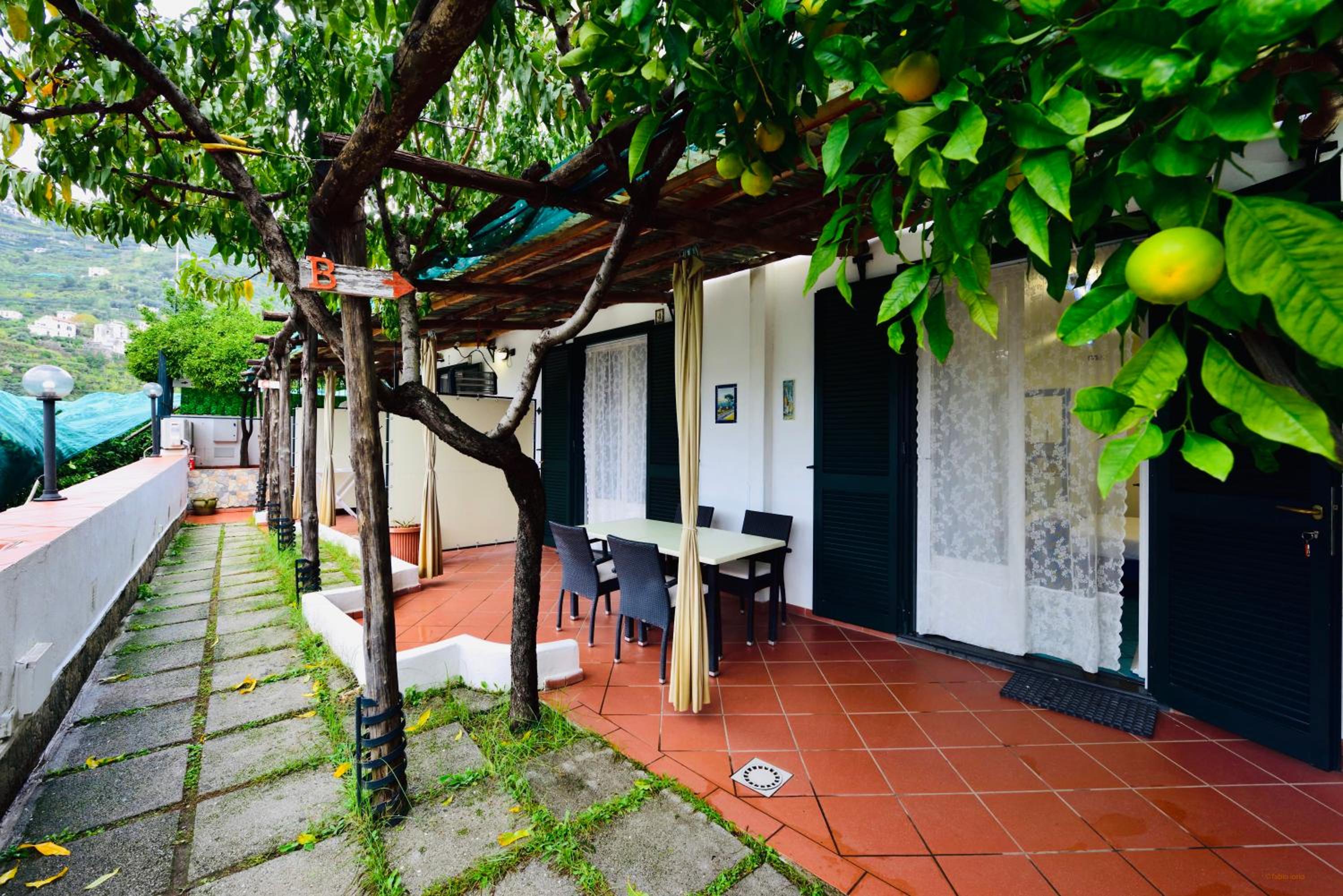Superior Apartment with Spa Bath and Terrace photo 2