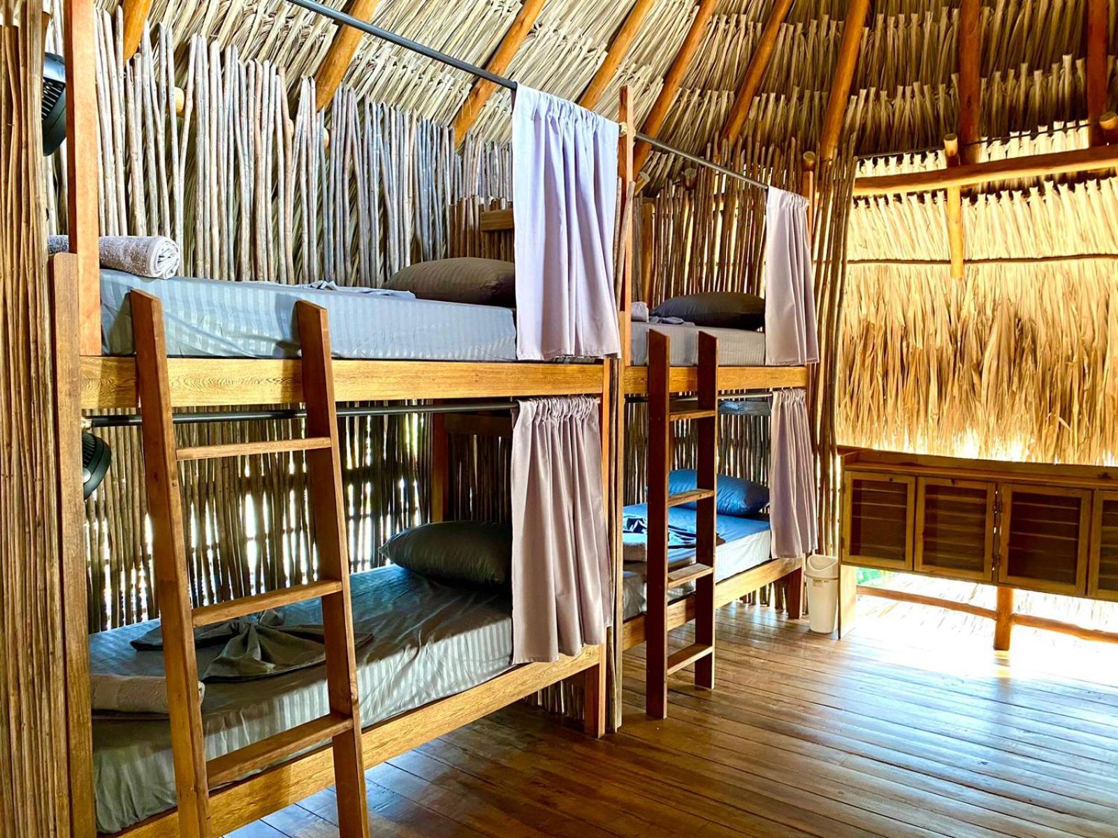 Bunk Bed in Mixed Dormitory Room photo 2