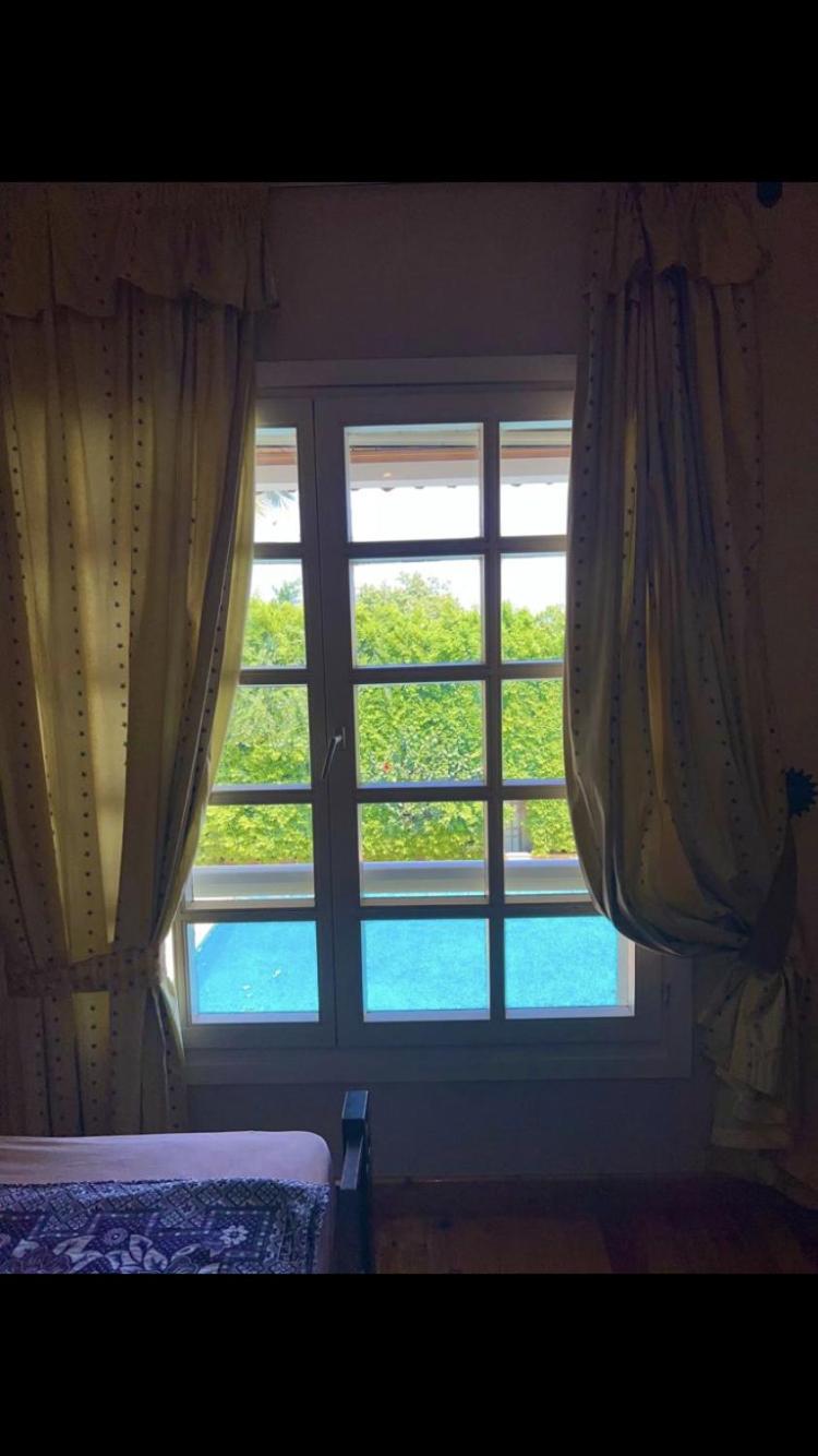 Double Or Twin Room photo 3