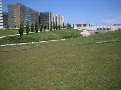 Apartment with Garden View - Photo 8
