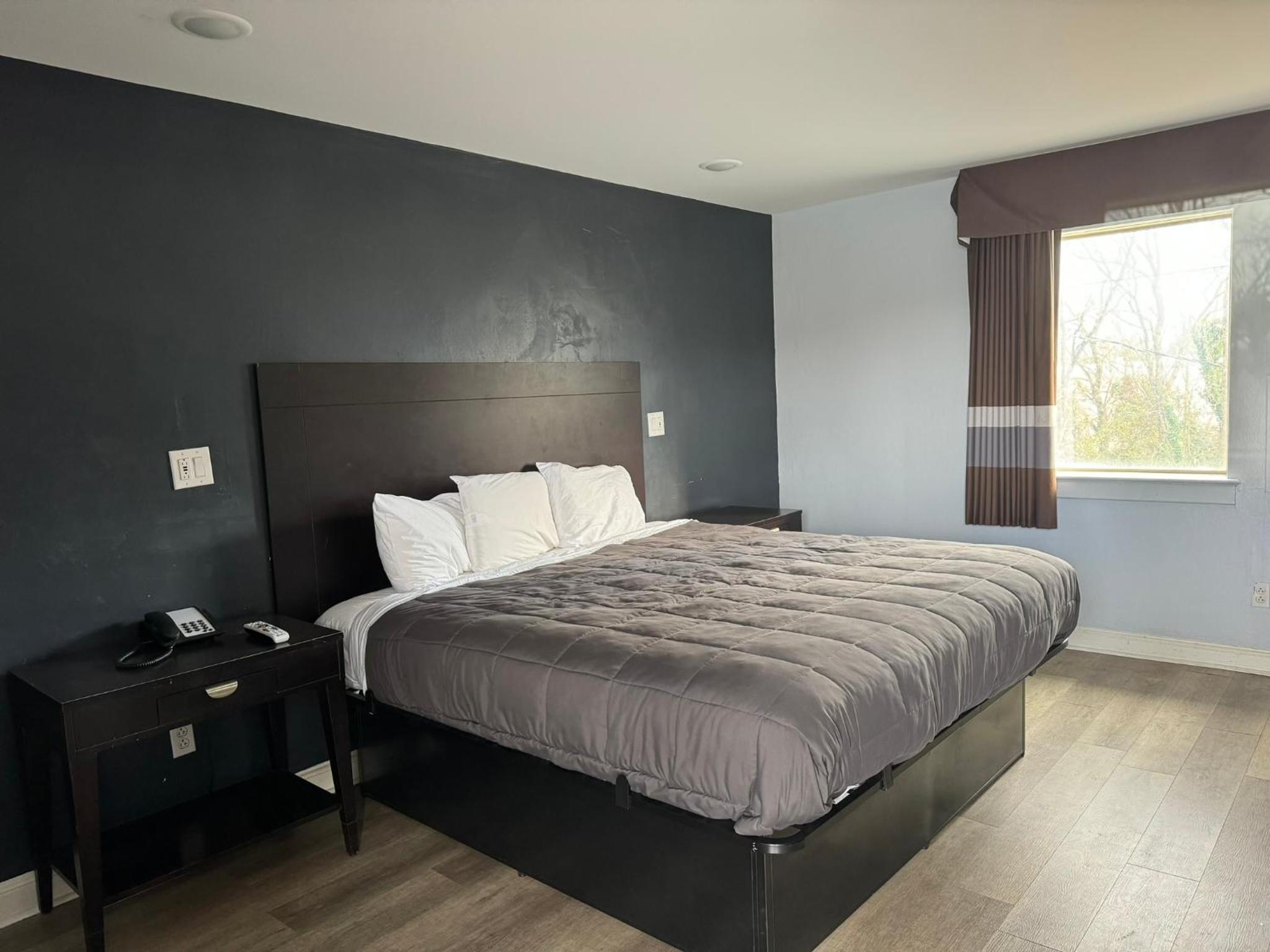 King Room photo 1