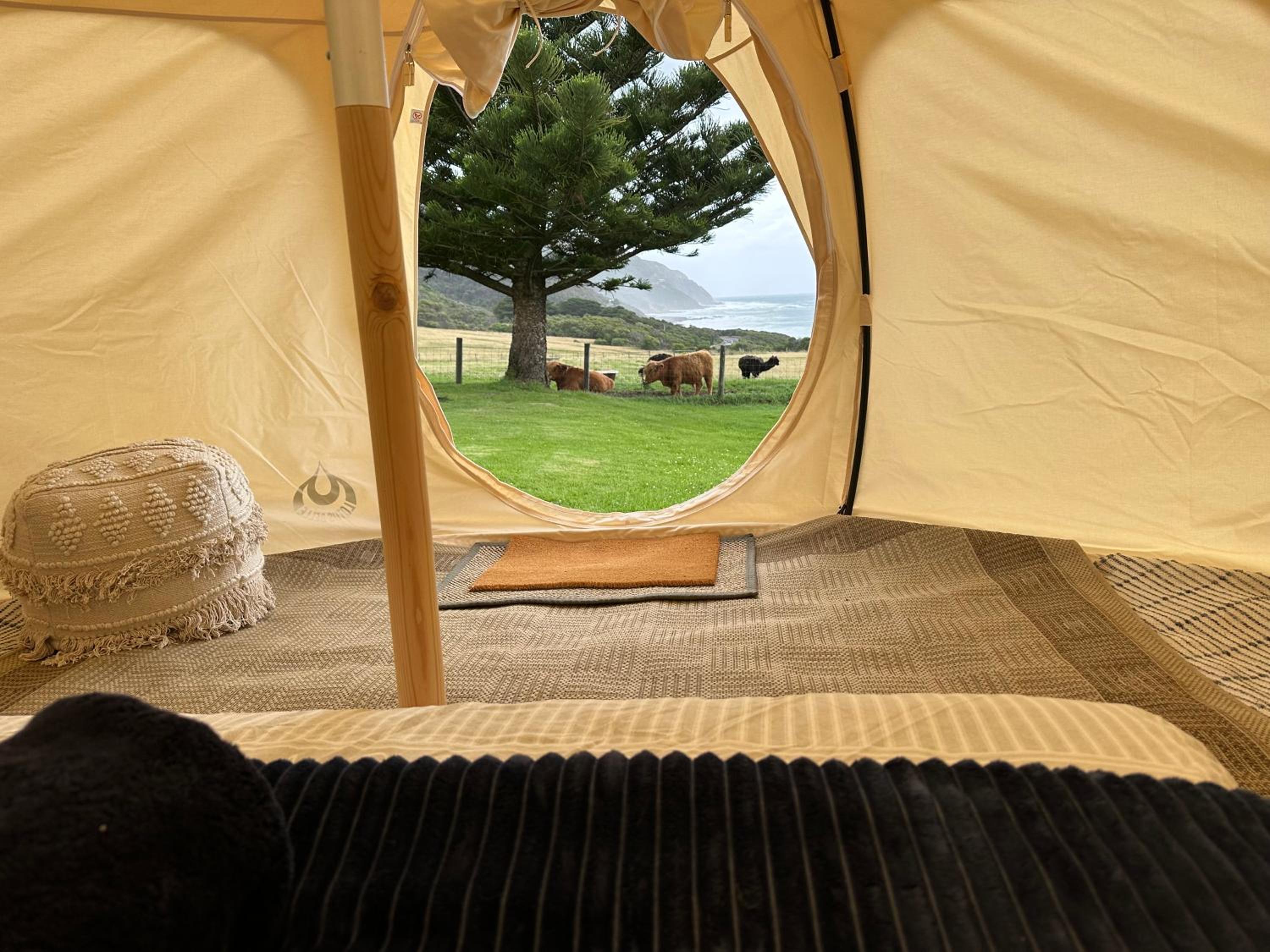 Seacroft Glamping Tent photo 2