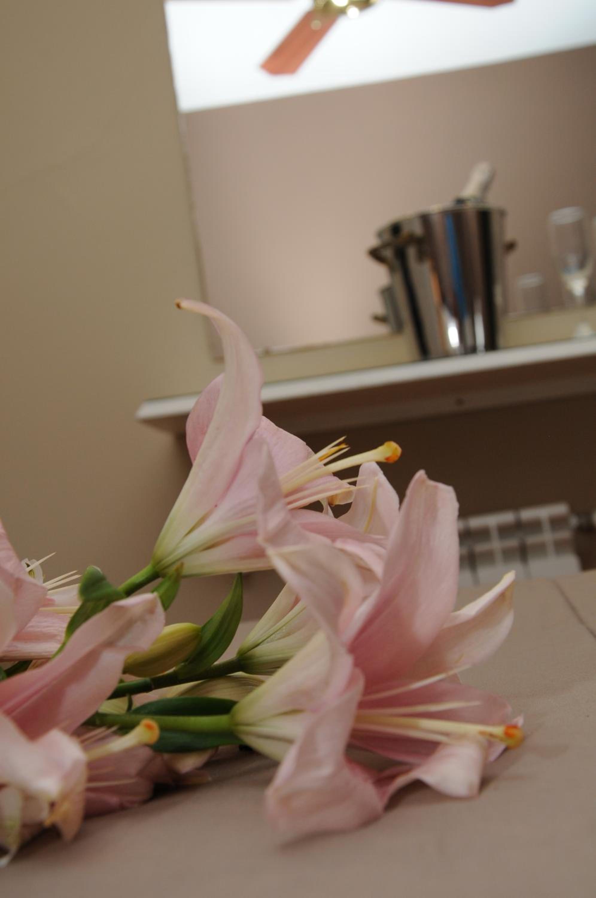 Family Suite photo 2