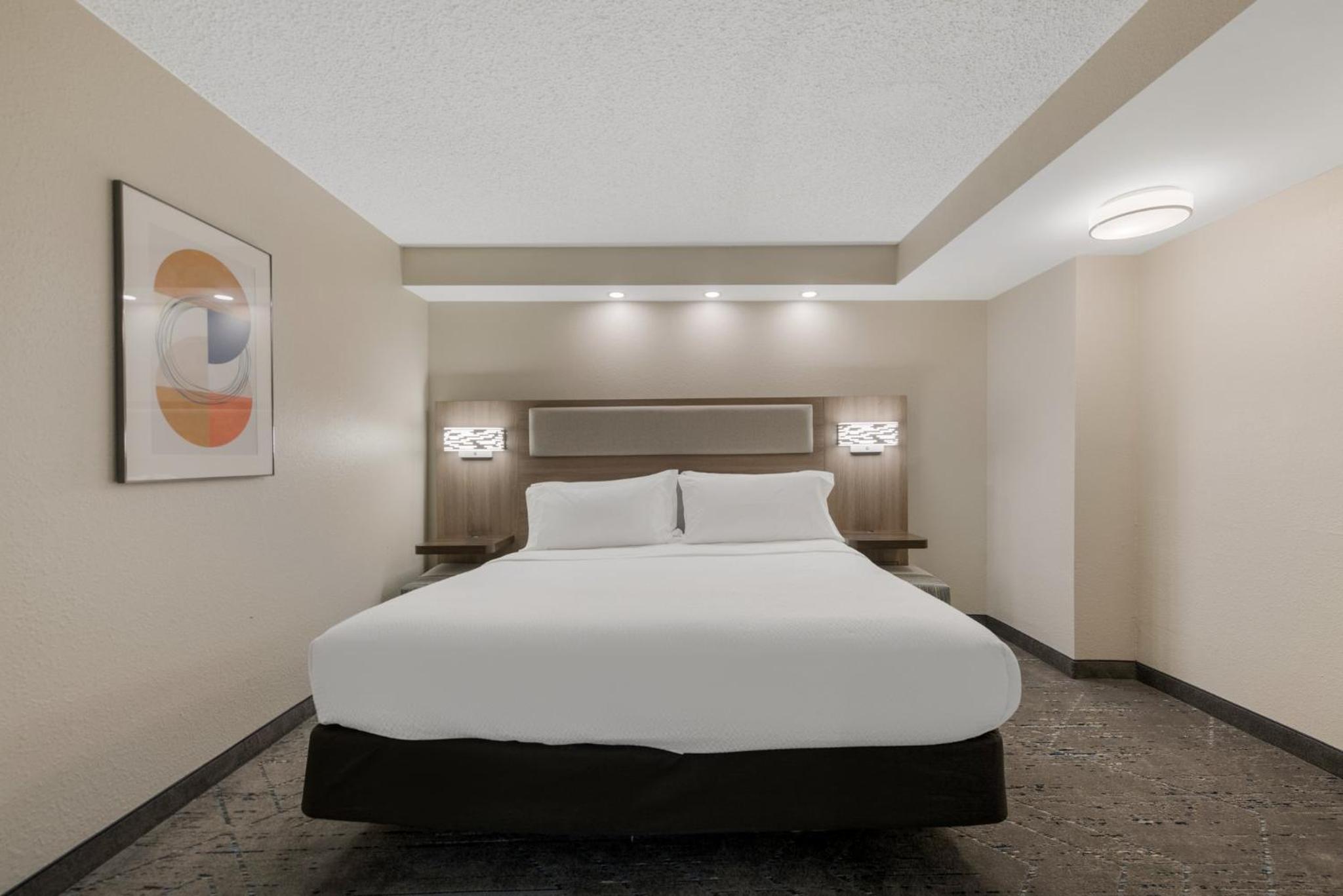 One-Bedroom King Suite - Photo 1