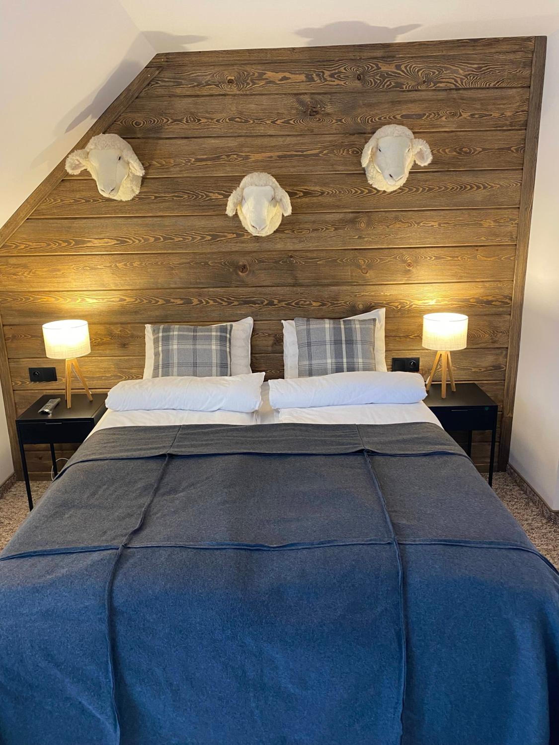 Double Room with Mountain View photo 2