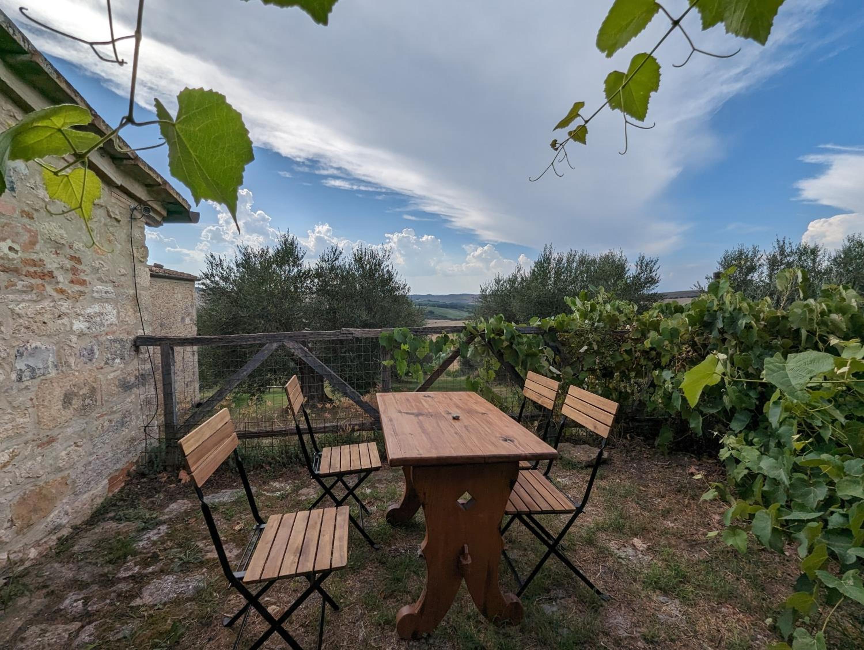 Apartment with Terrace photo 2
