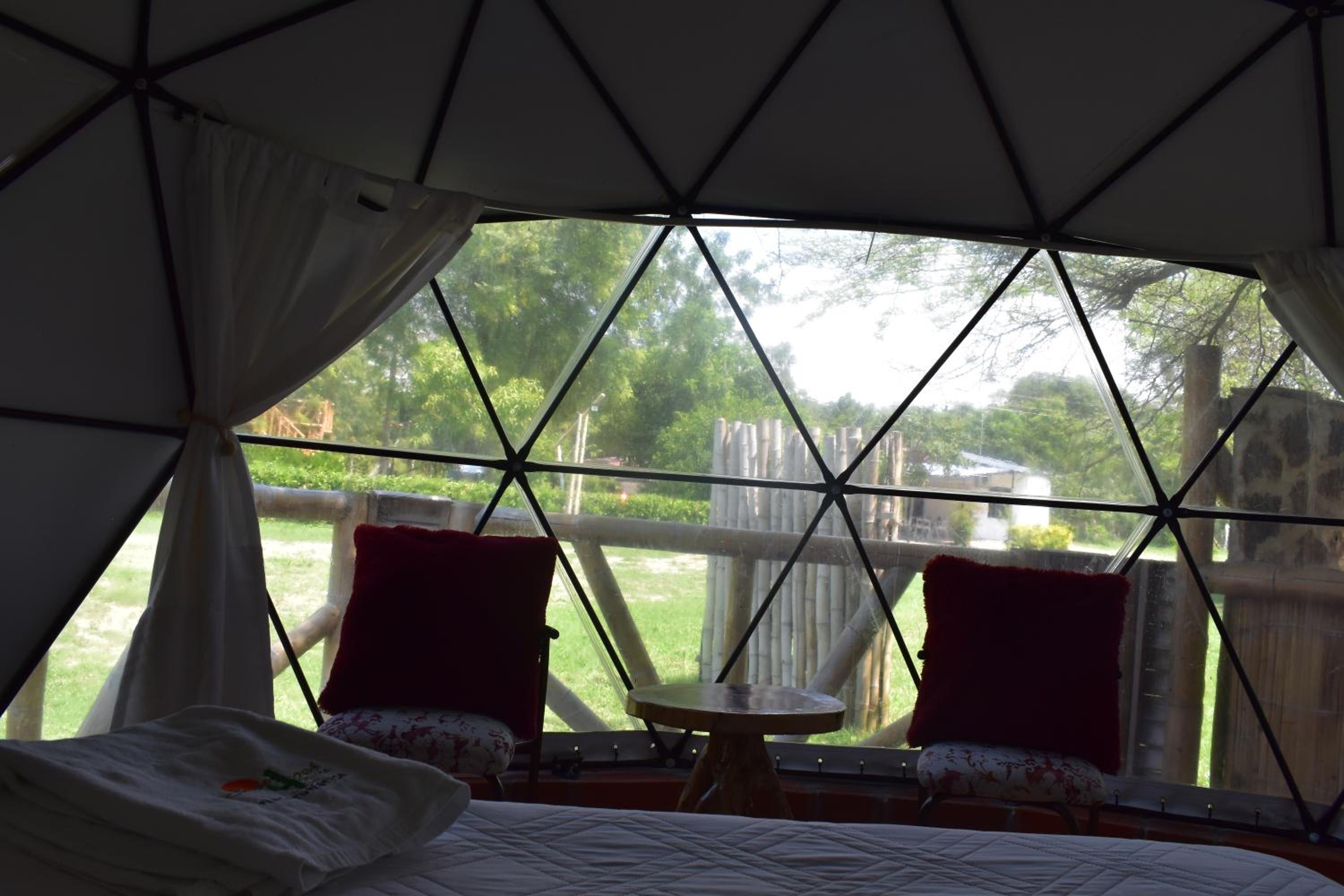 Double Room with Balcony photo 1