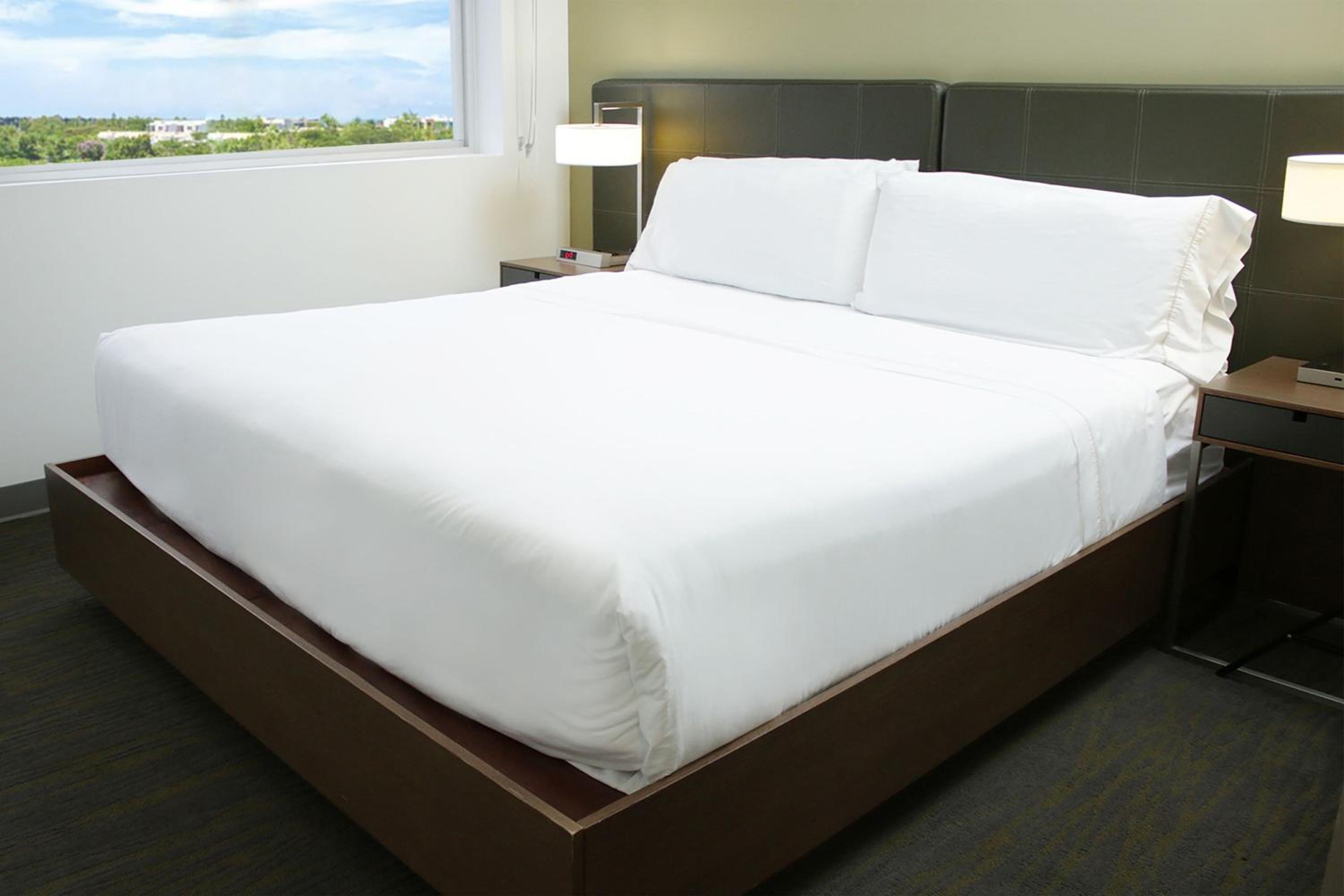 One-Bedroom Large King Suite with Sofa Bed and Roll-In Shower - Mobility and Hearing Accessible