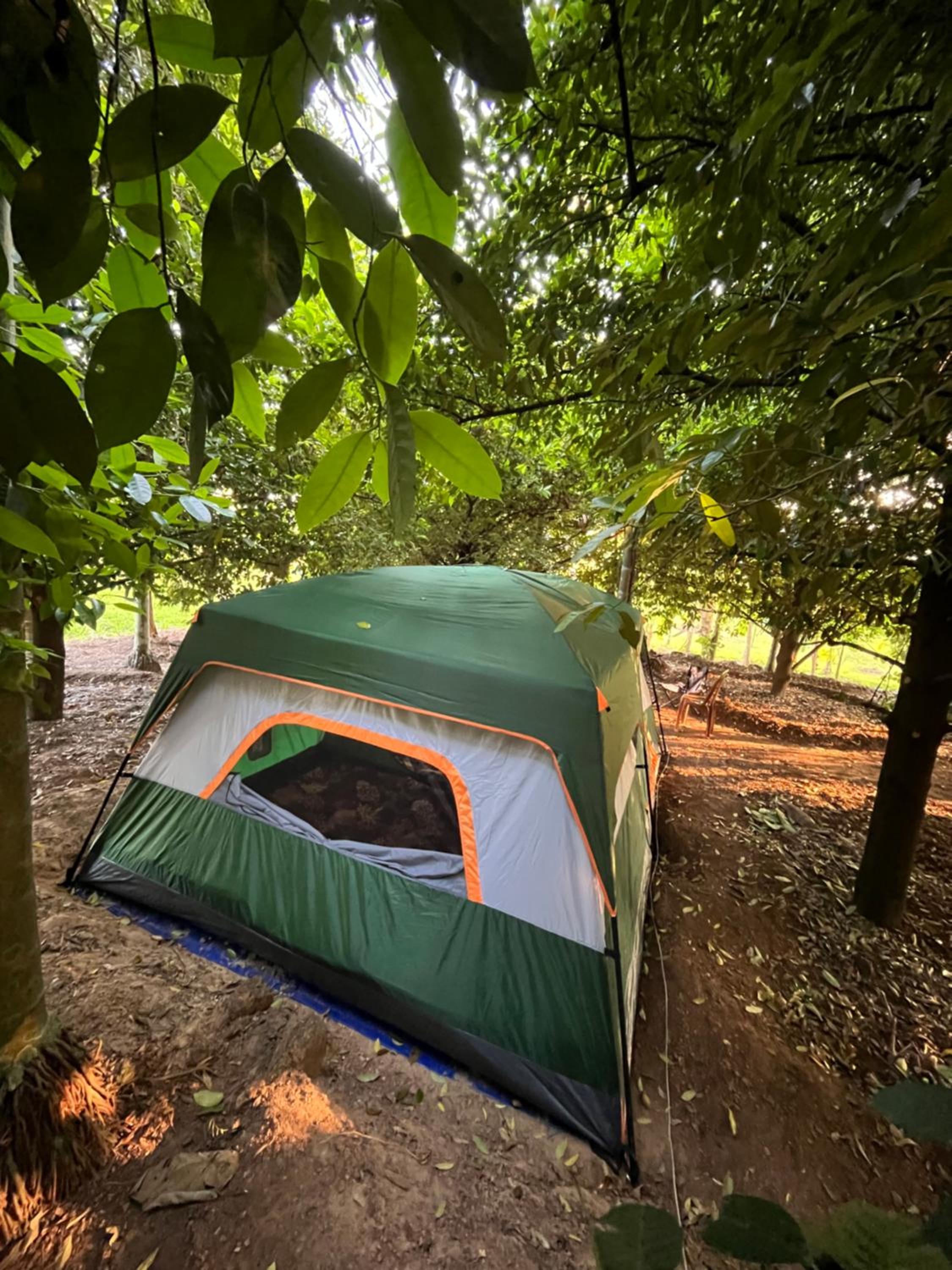 Tent photo 3