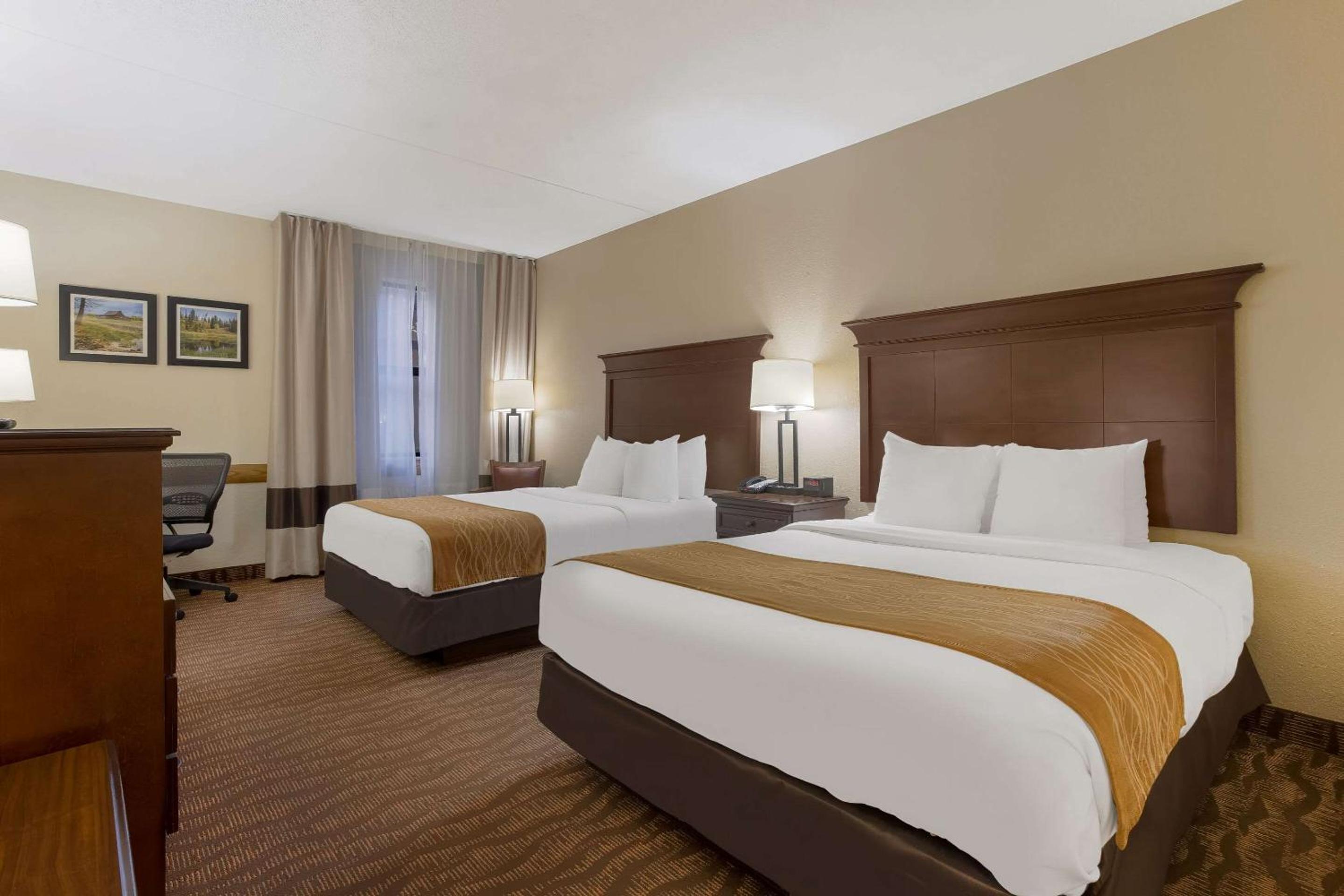 Queen Room with Two Queen Beds - Non-Smoking - Photo 4