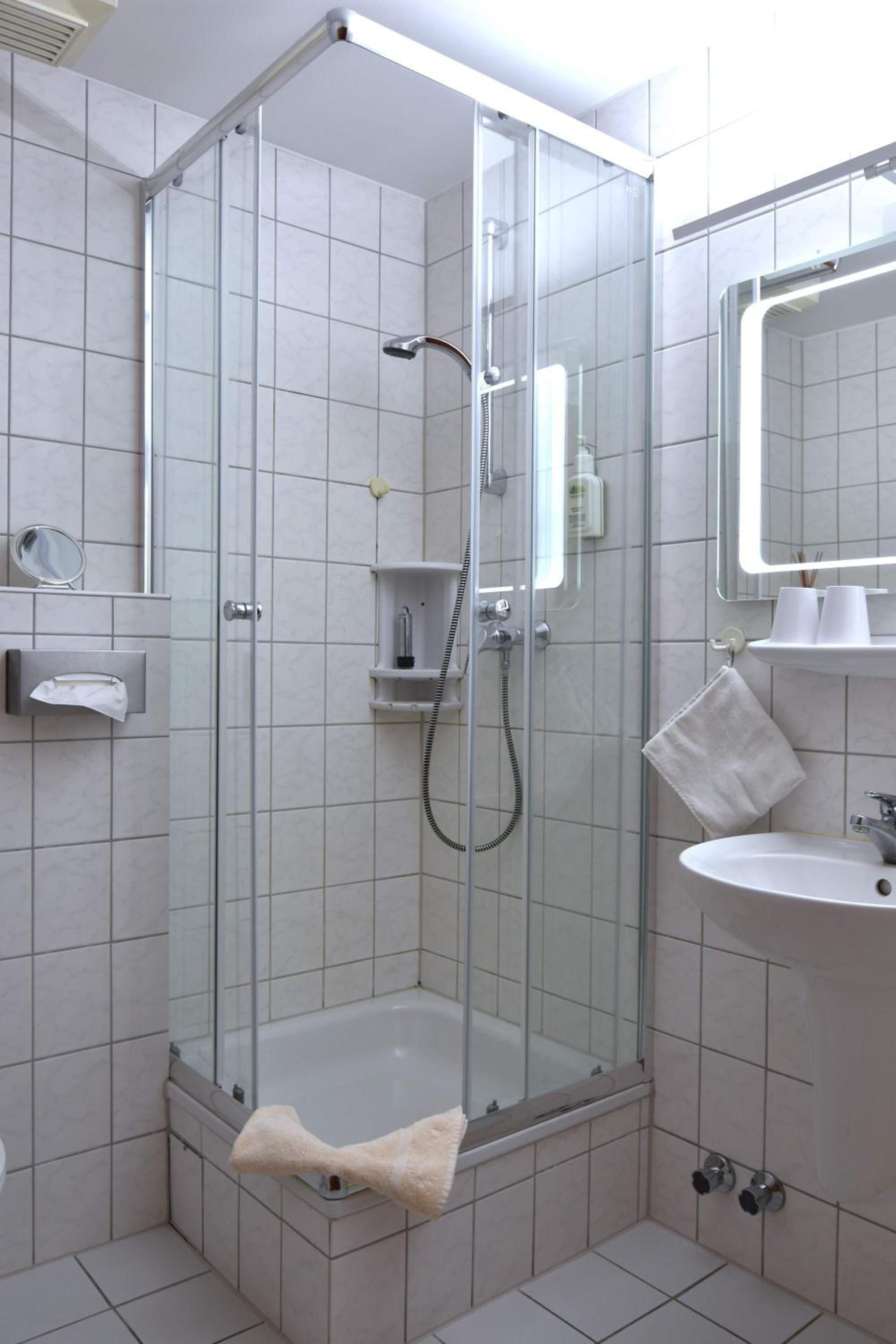 Large Single Room photo 3