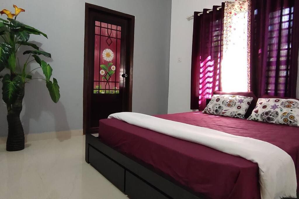 One-Bedroom House photo 1