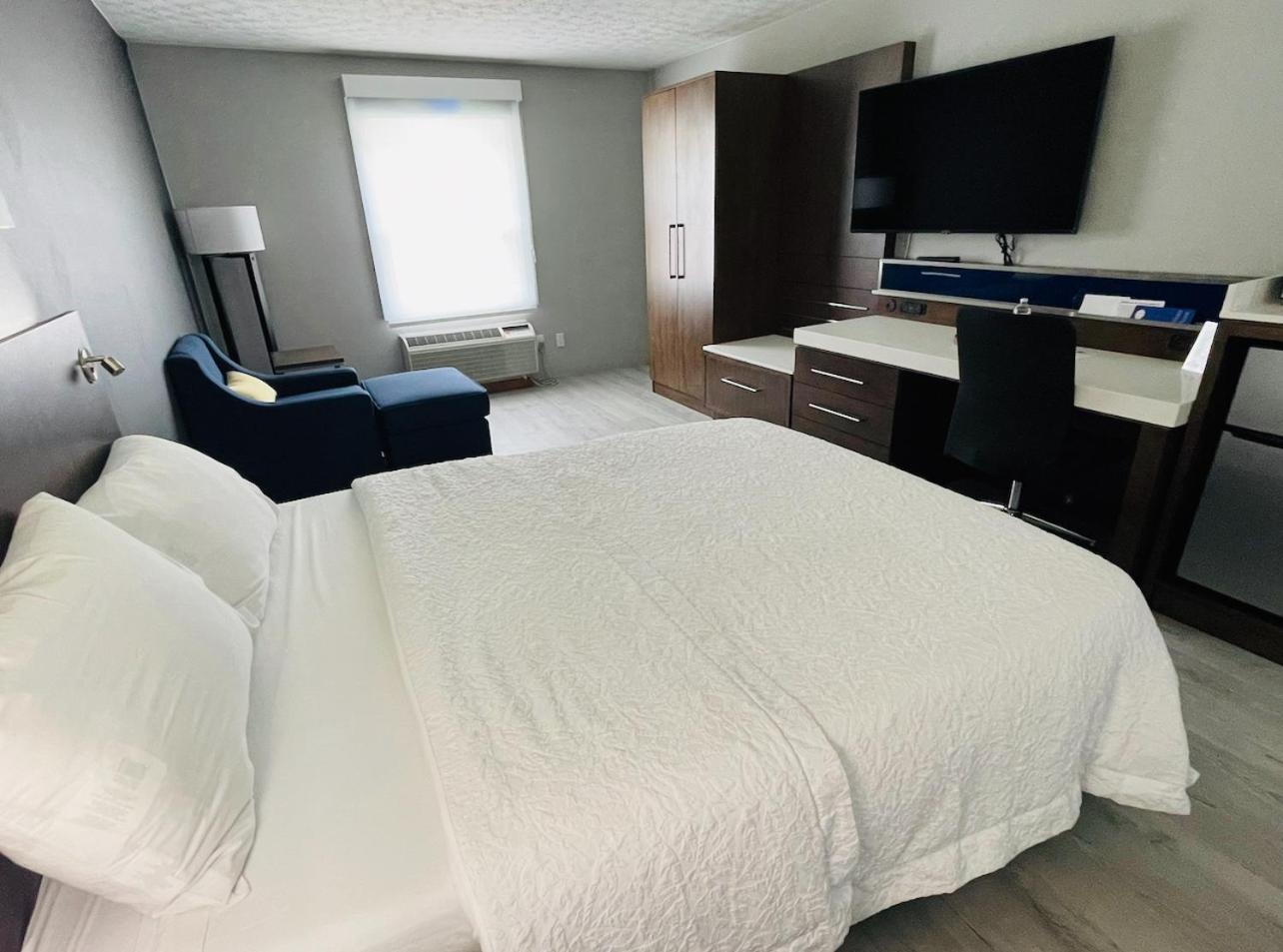 Deluxe King Suite - Photo 1