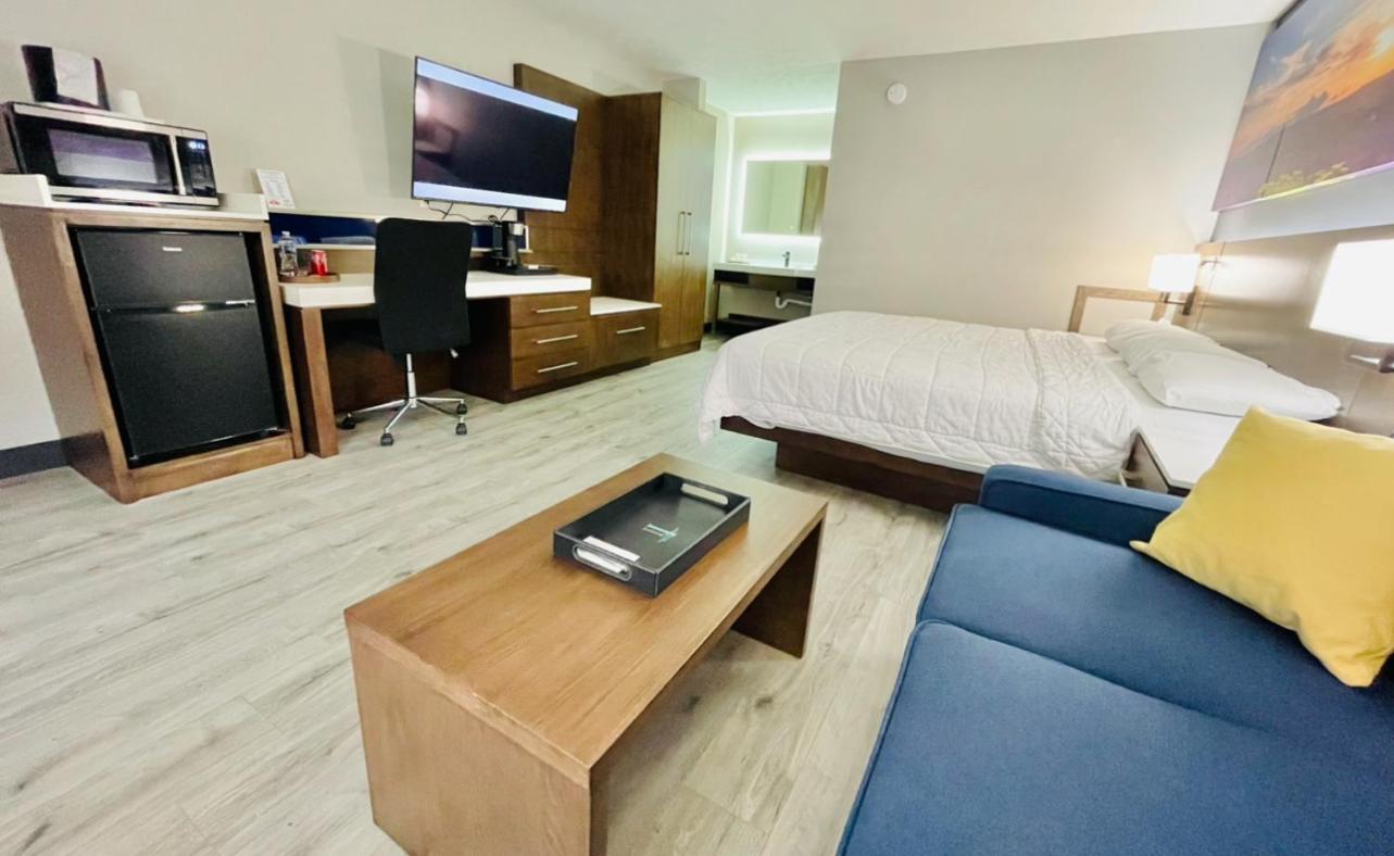 King Studio with Sofa Bed