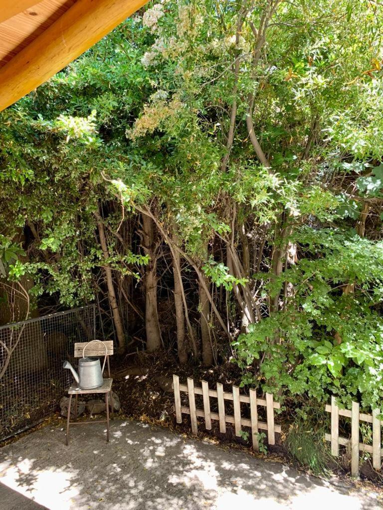 Deluxe Bungalow photo 2