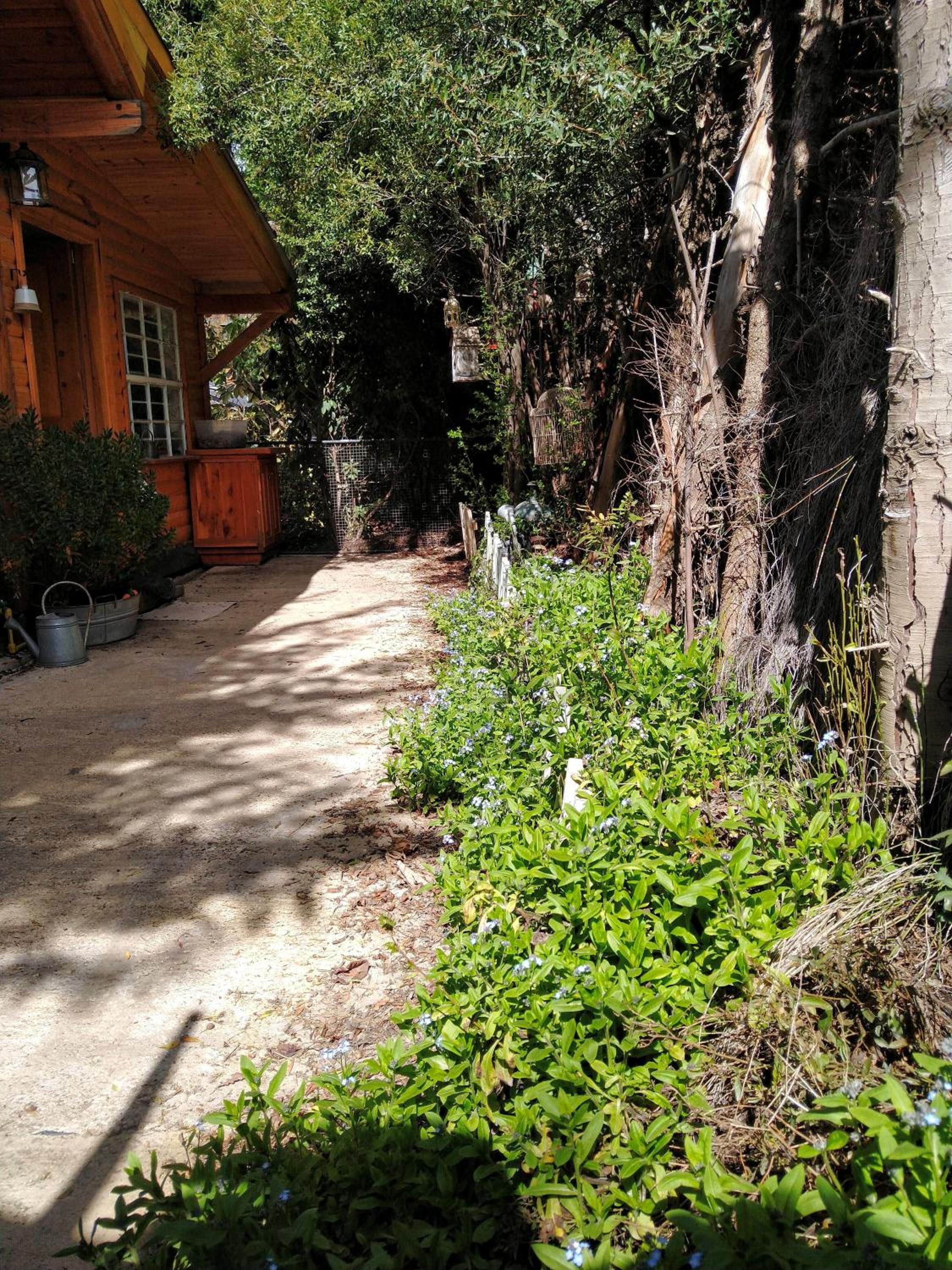 Deluxe Bungalow photo 3