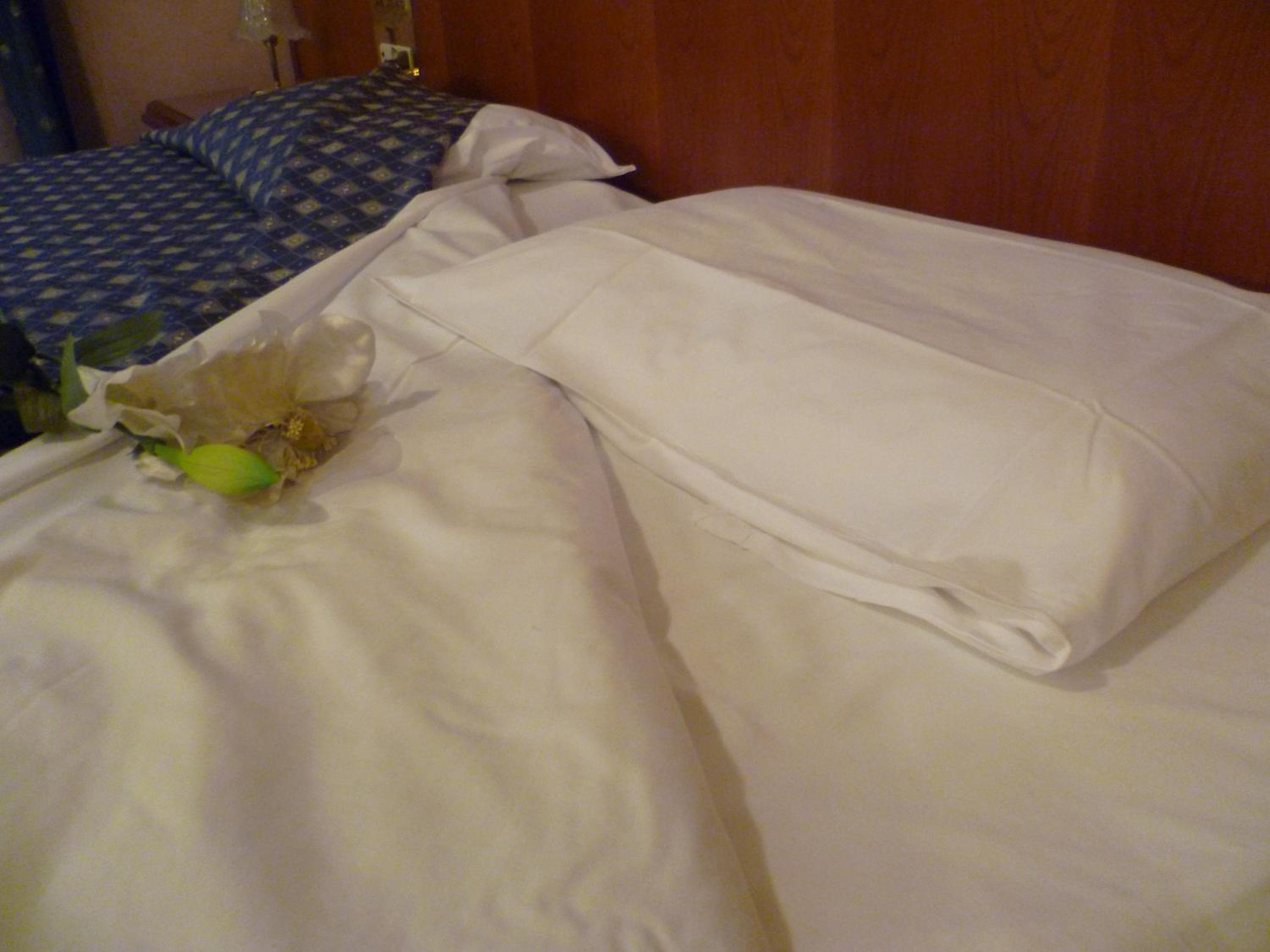 Suite - Photo 18