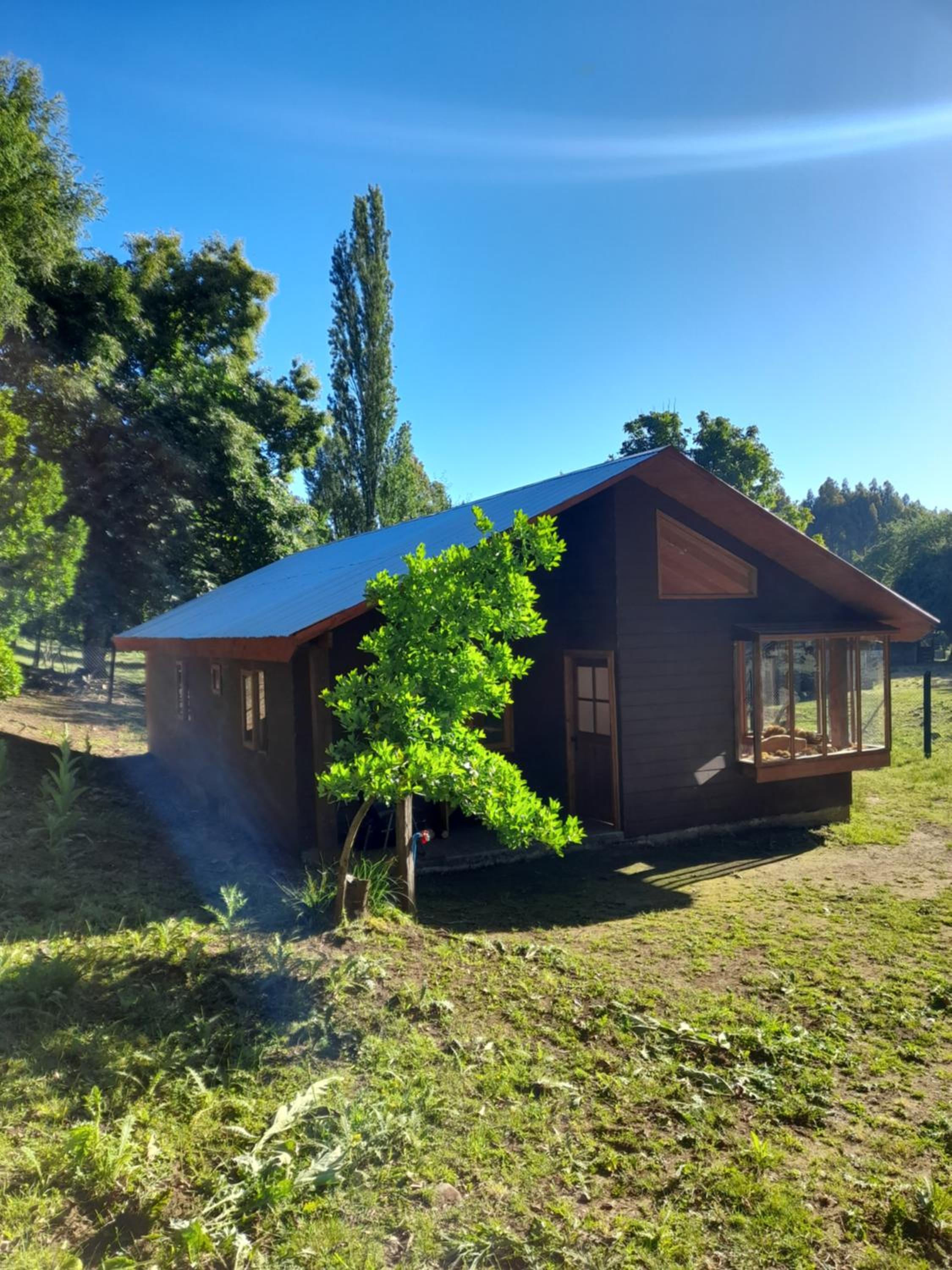 Three-Bedroom House photo 1