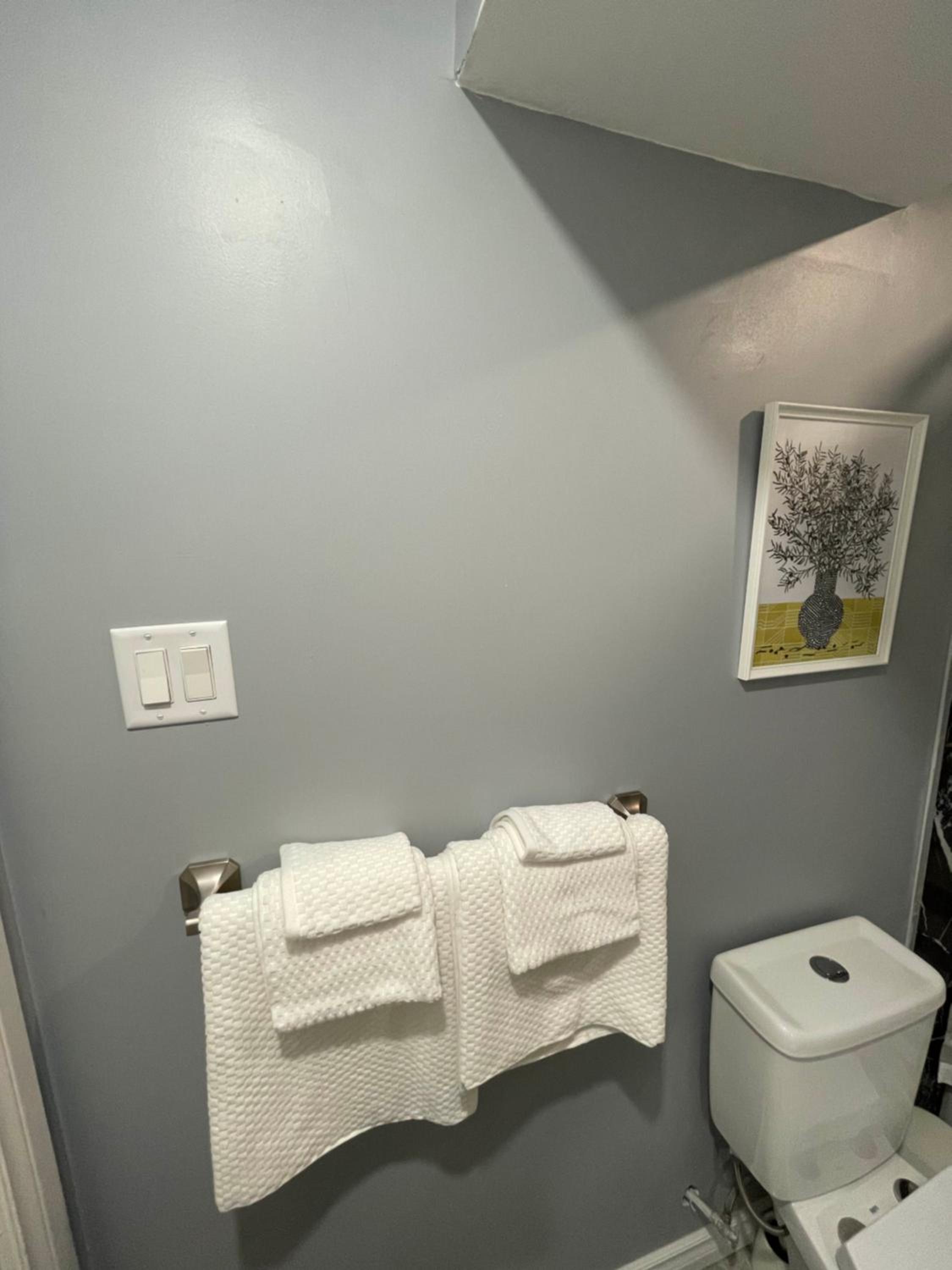 One-Bedroom Apartment photo 3