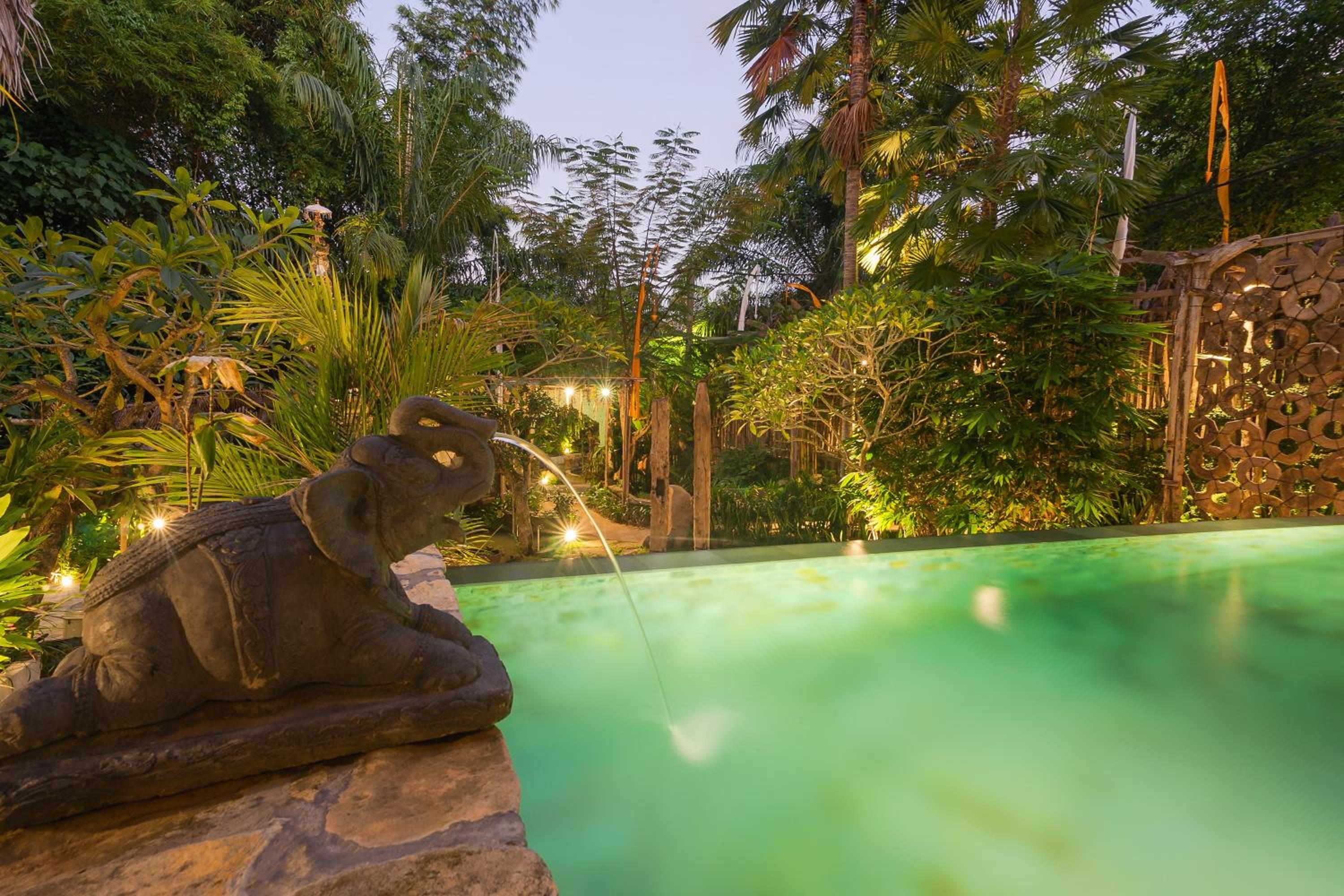 Superior Villa - Photo 5