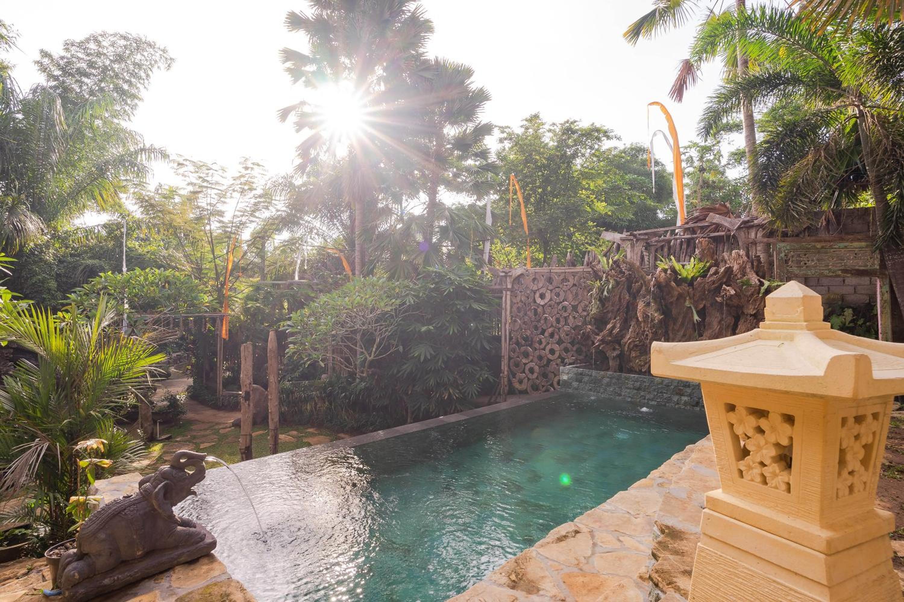 Superior Villa - Photo 11