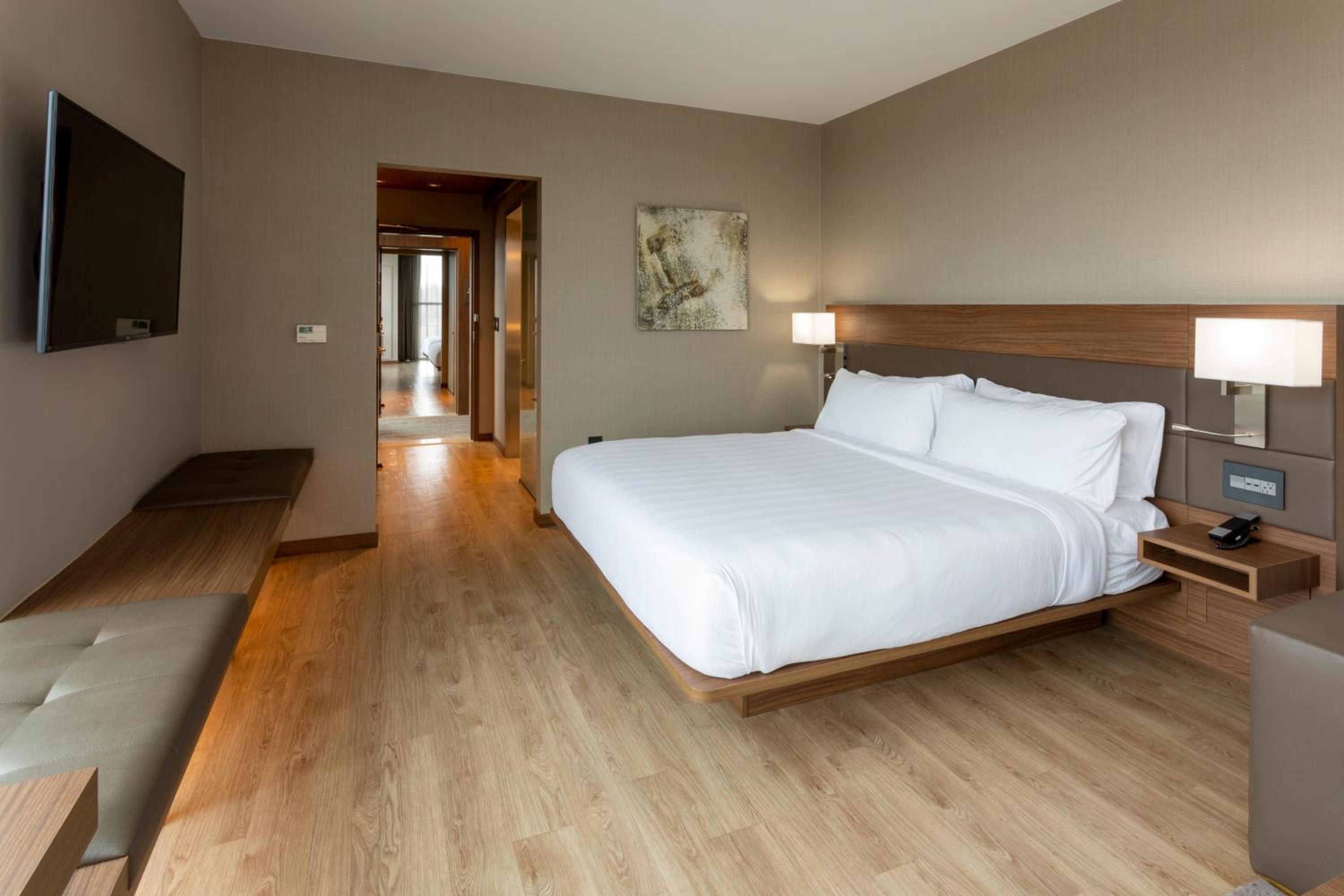 King Room with Sofa Bed - Hearing Accessible