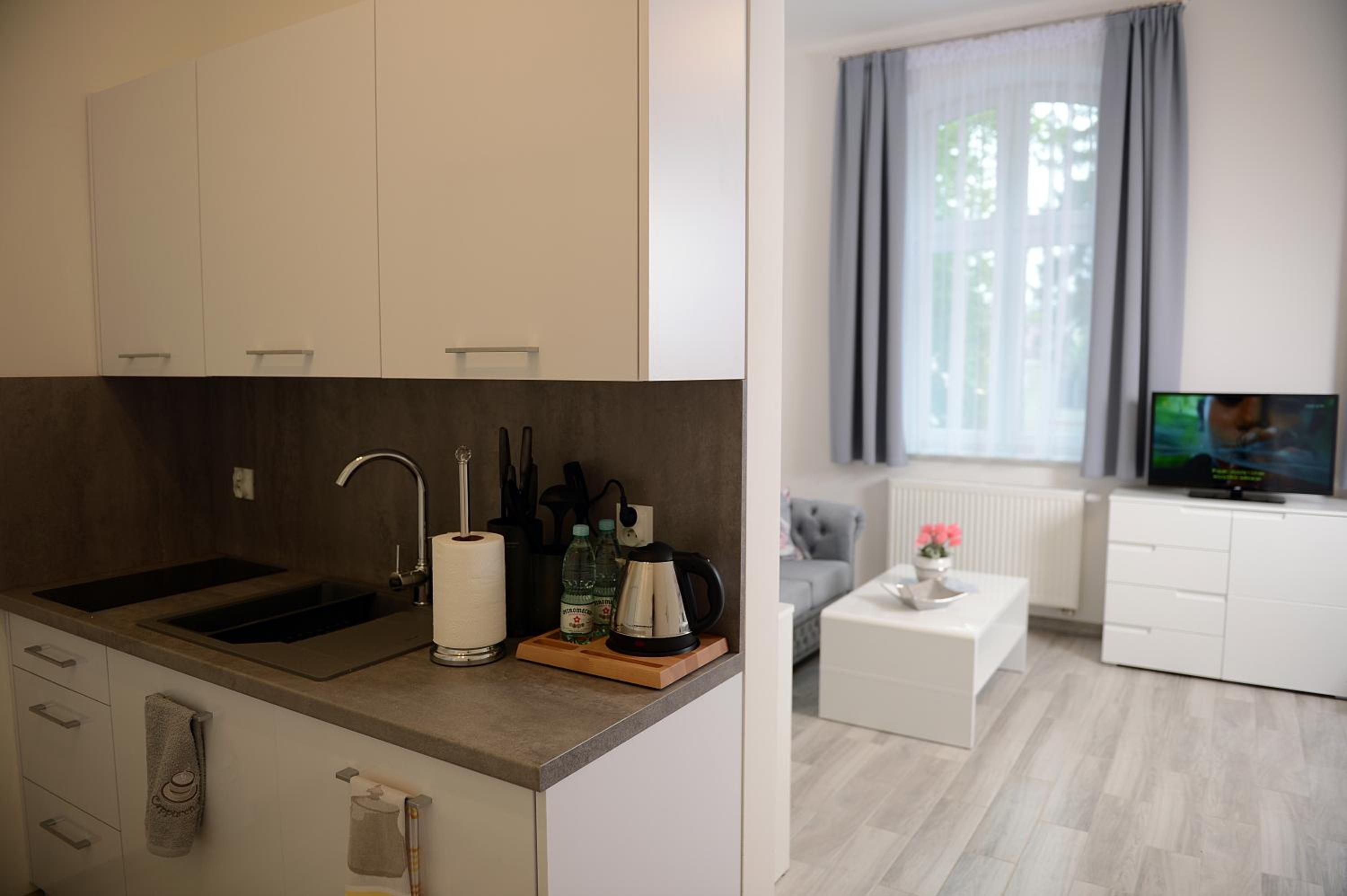 Superior Apartment photo 2