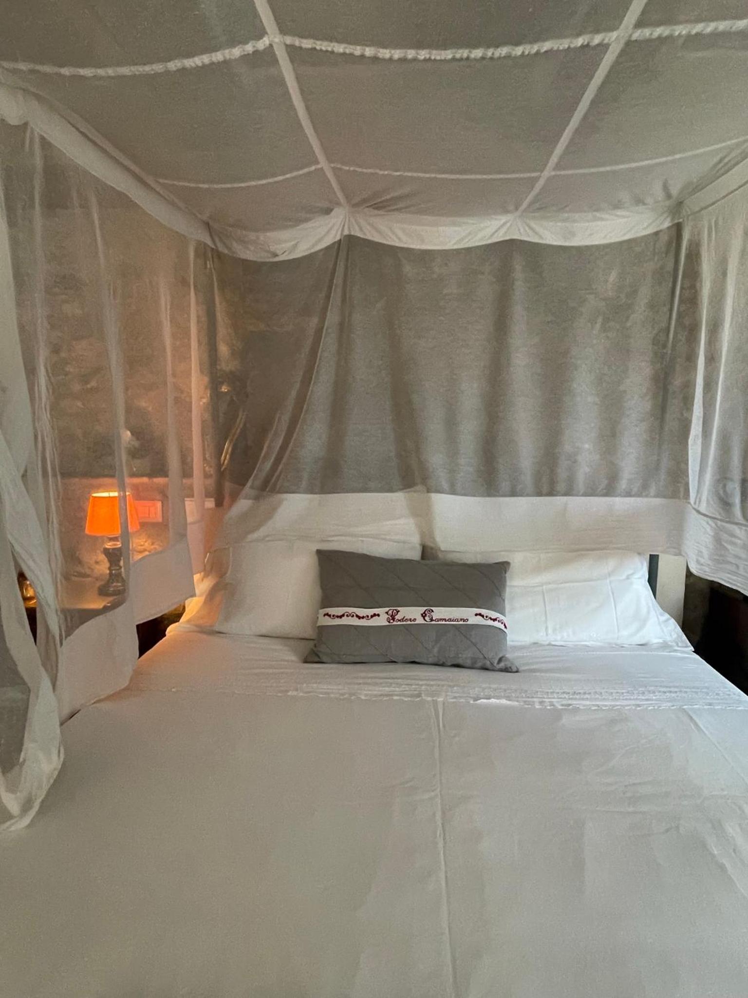 Double Room with Patio