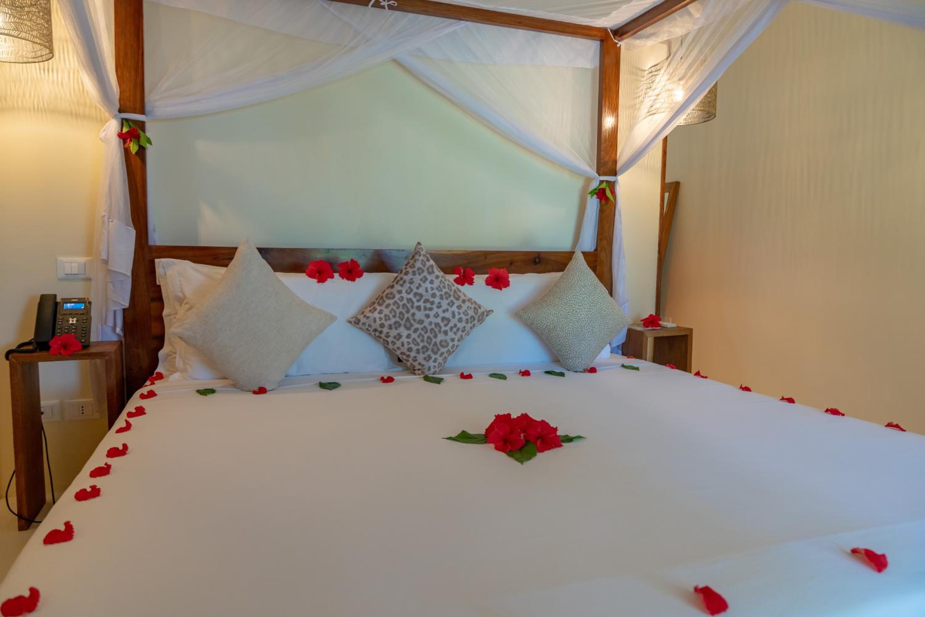 Garden Beach Front Double Room - Photo 6