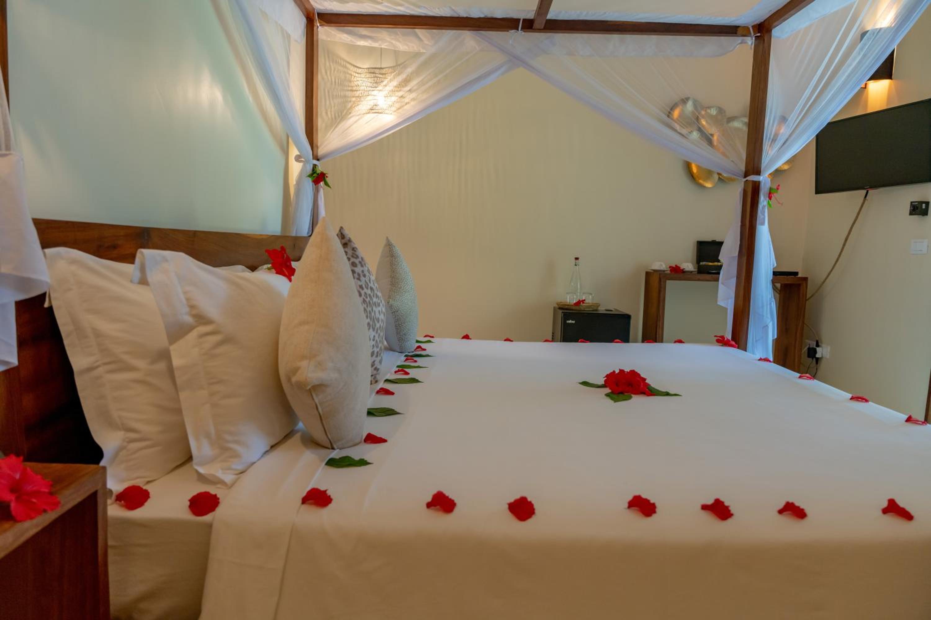 Garden Beach Front Double Room - Photo 22