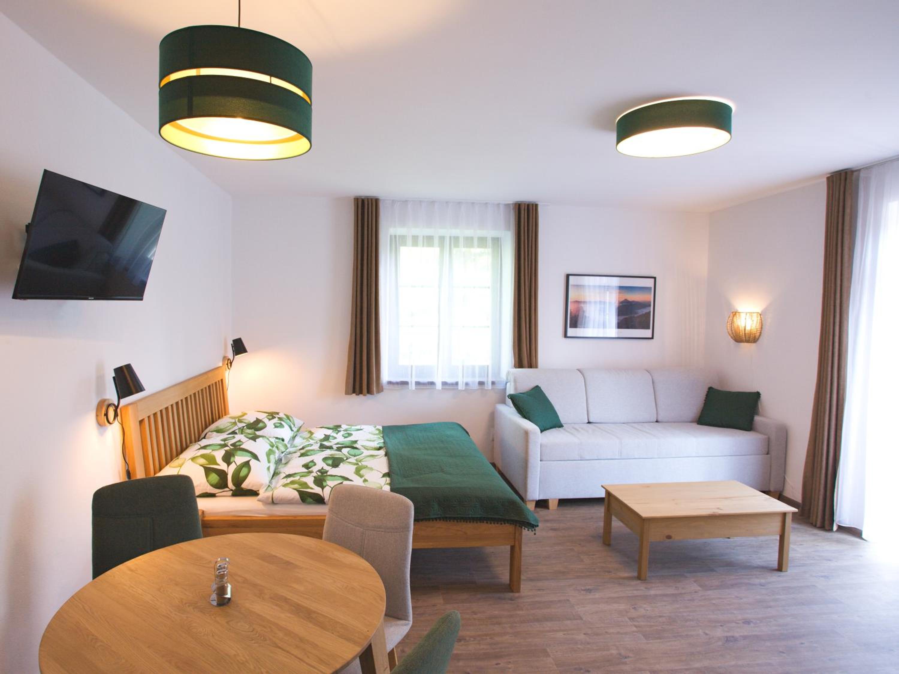 Studio Apartment photo 3