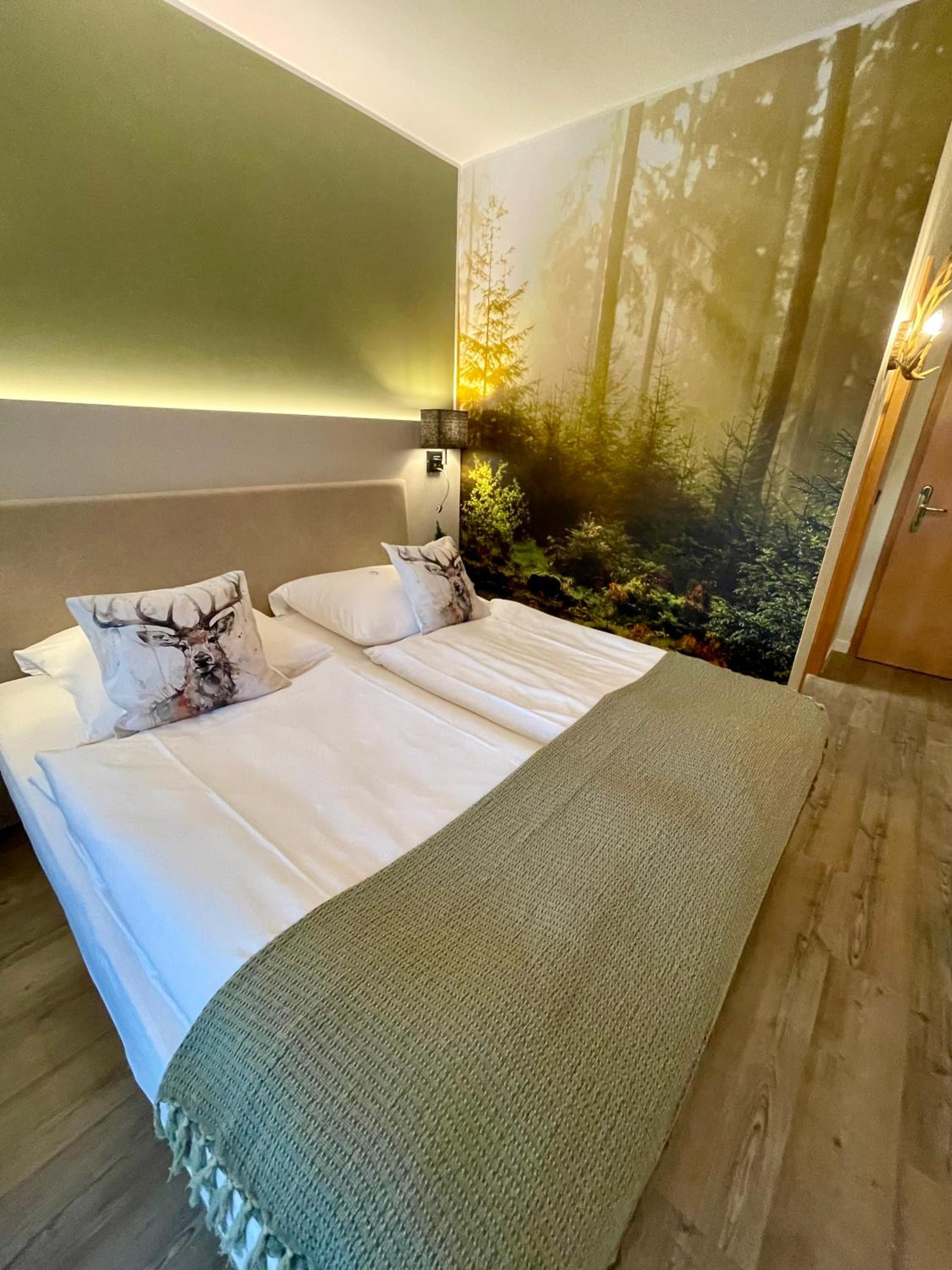 Deluxe Double Room photo 2