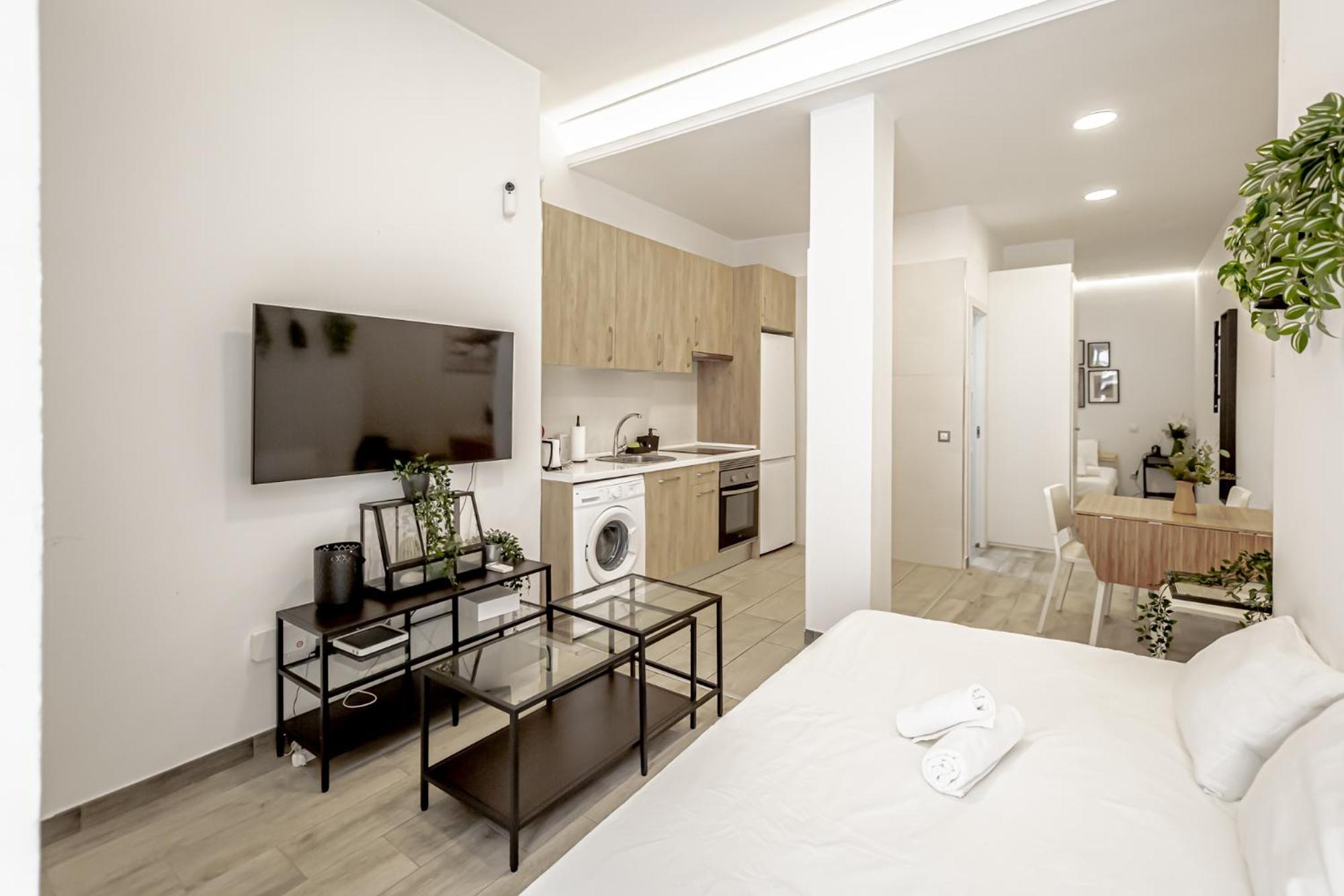 Standard Apartment photo 3