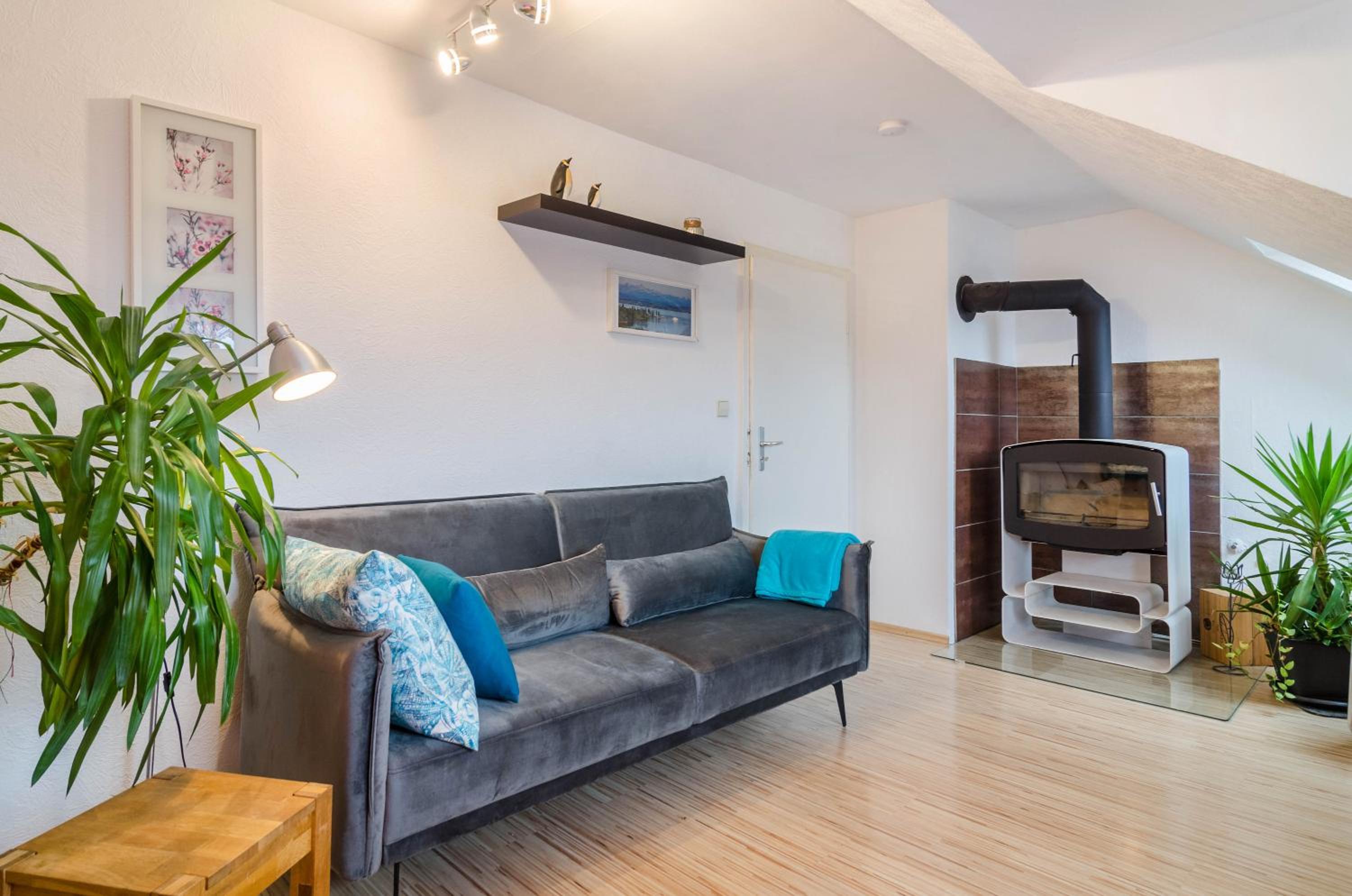 Superior One-Bedroom Apartment photo 2