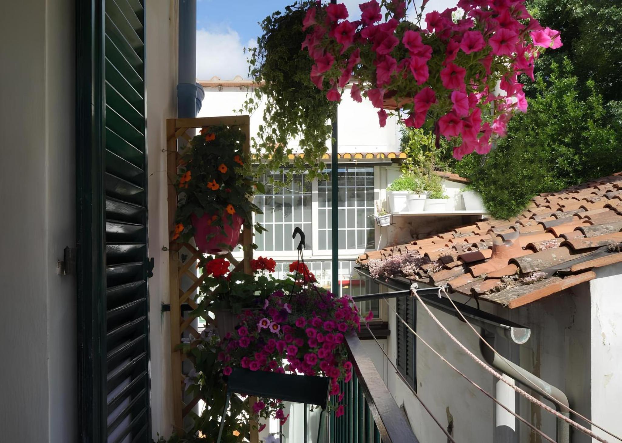 Double Room with Balcony photo 2
