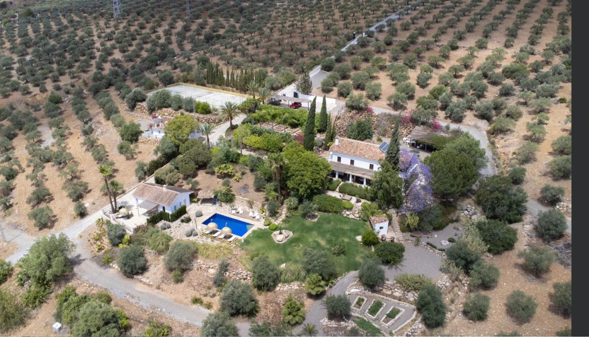 Deluxe Villa photo 2