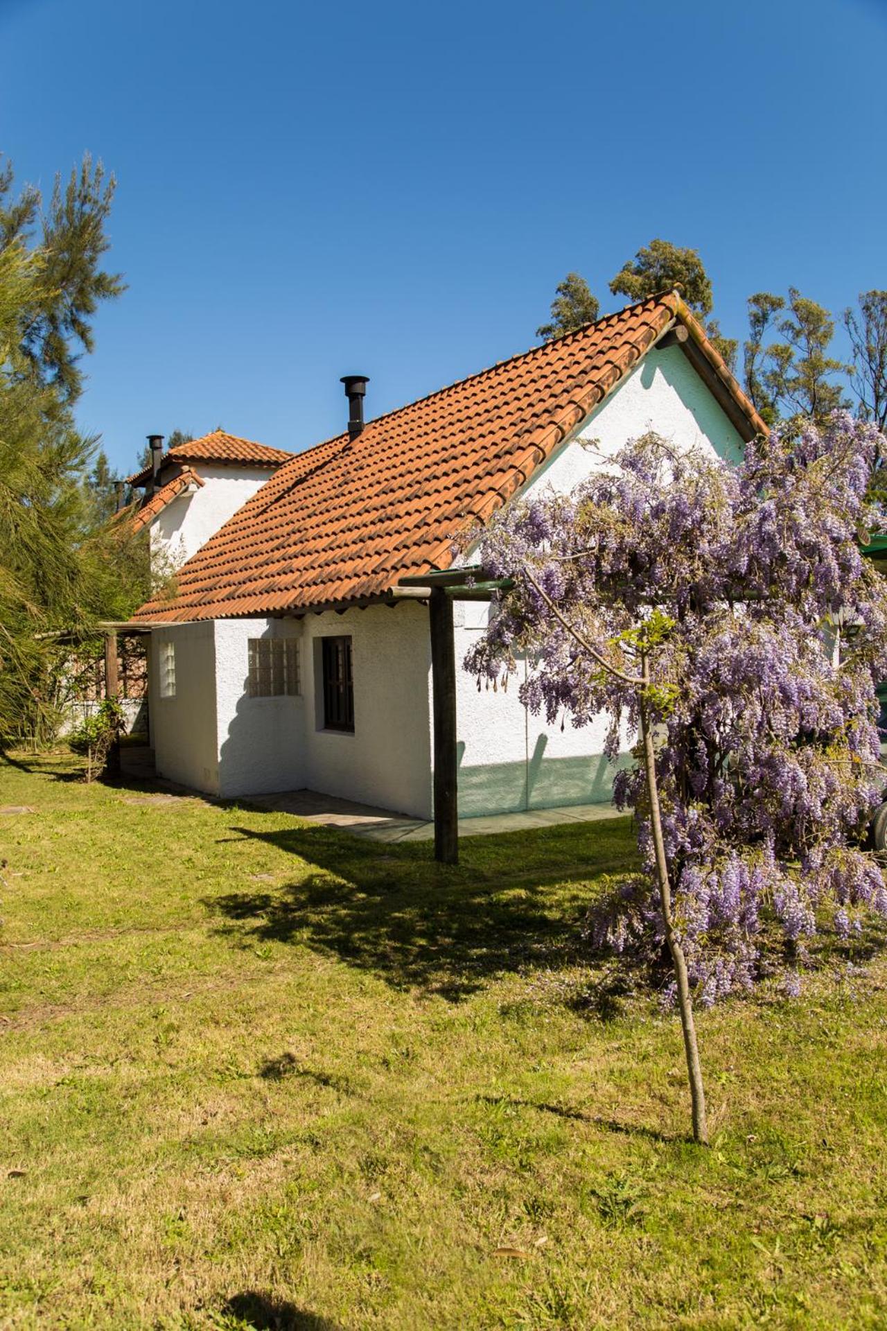 Vacation Home photo 1