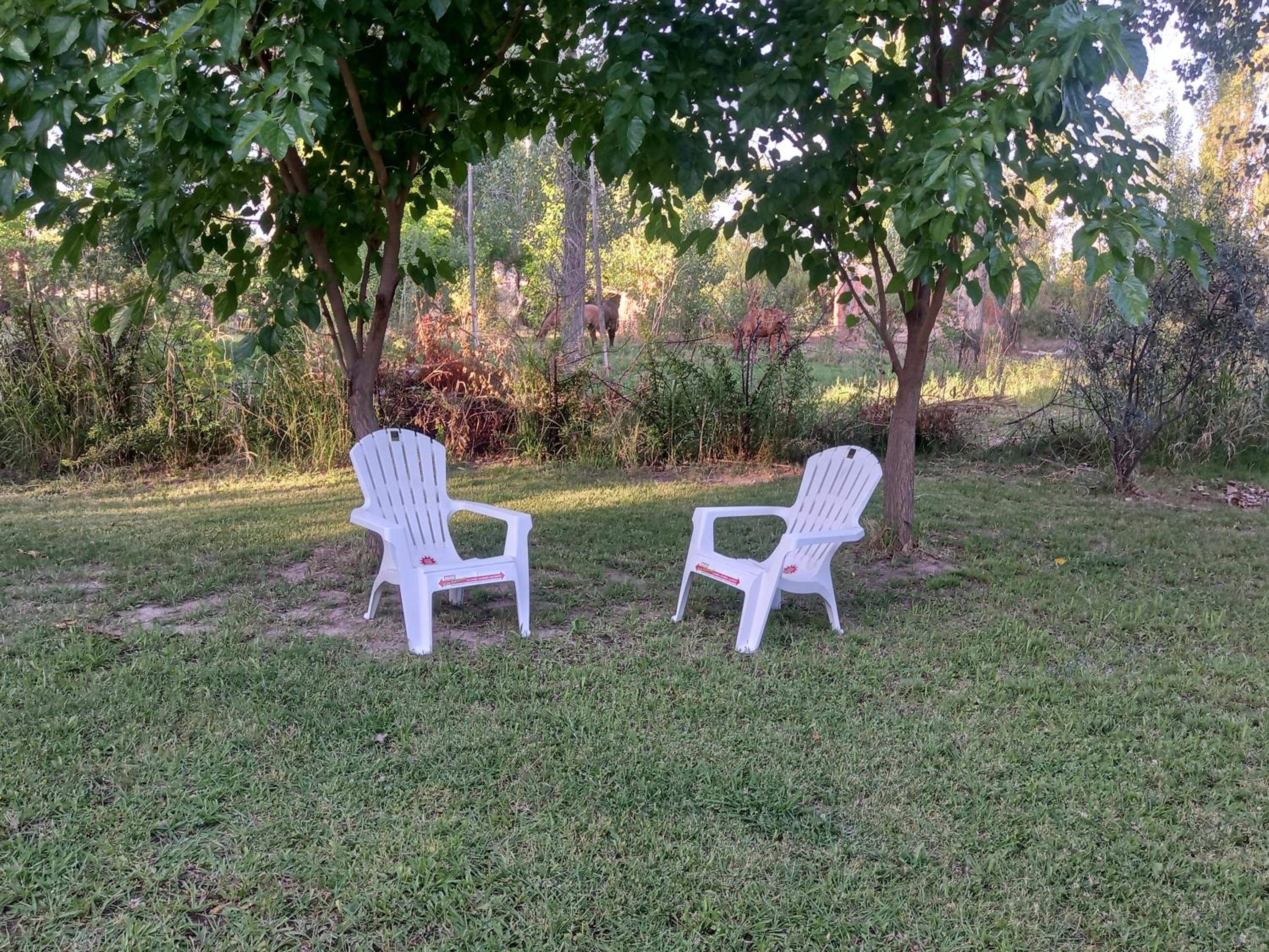 Studio With Garden View photo 2